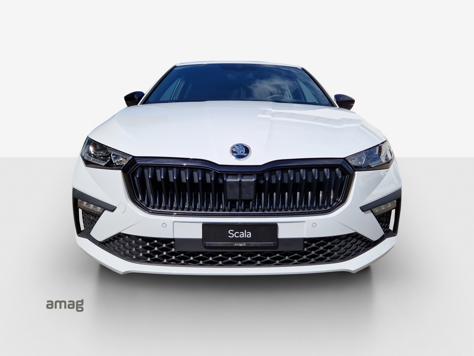 SKODA Scala 1.0 TSI Dynamic DSG-image-6