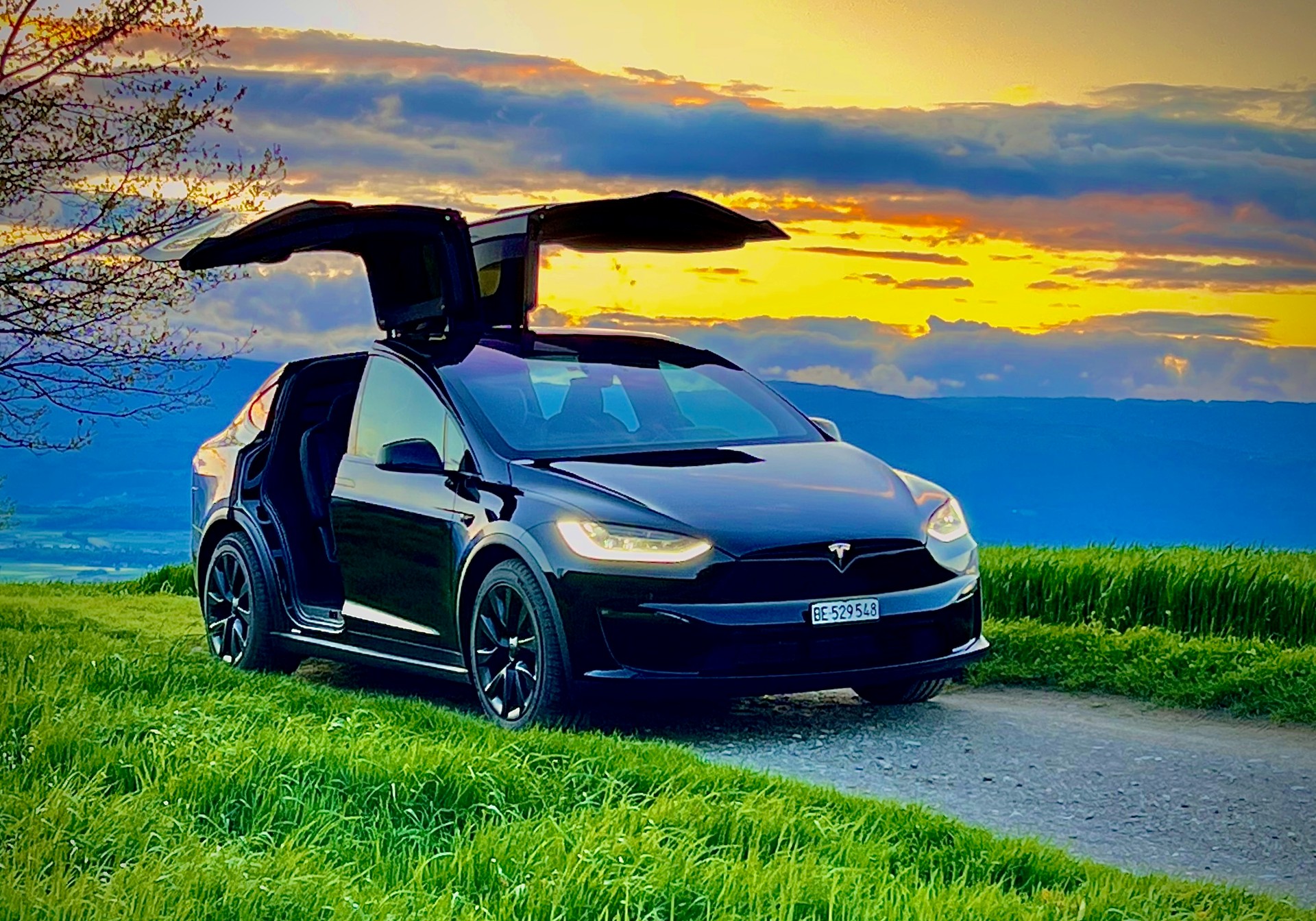 TESLA Model X Long Range-image-9