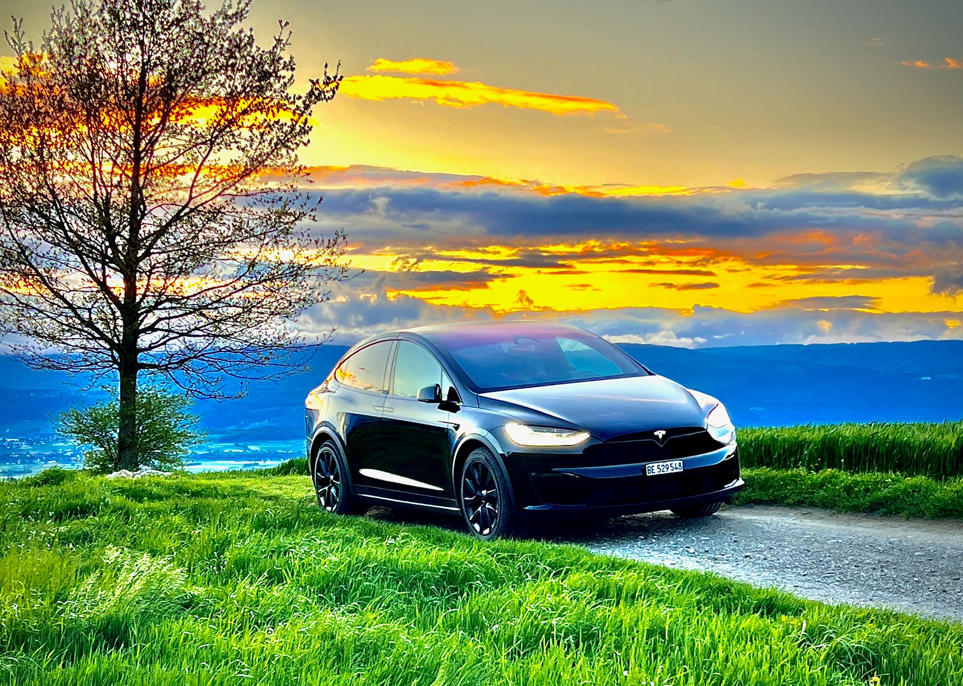 TESLA Model X Long Range-image-7