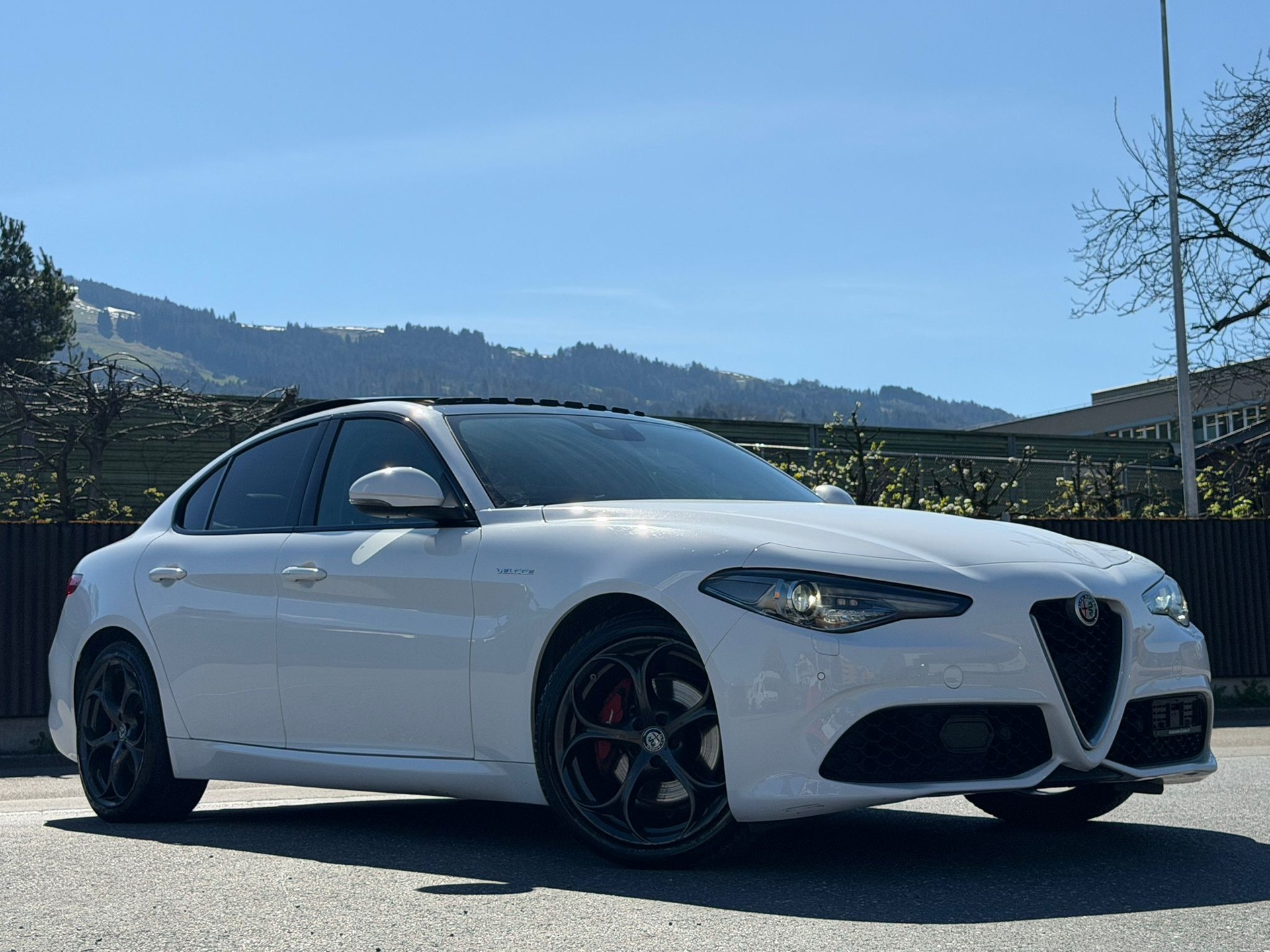 ALFA ROMEO Giulia 2.2 JTDM Veloce Q4 Automatic White&Black Edition-image-3