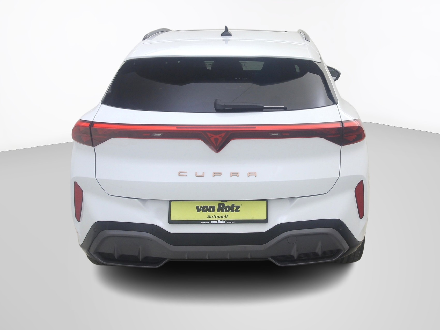 CUPRA Terramar 2.0 TSI 4Drive DSG-image-2