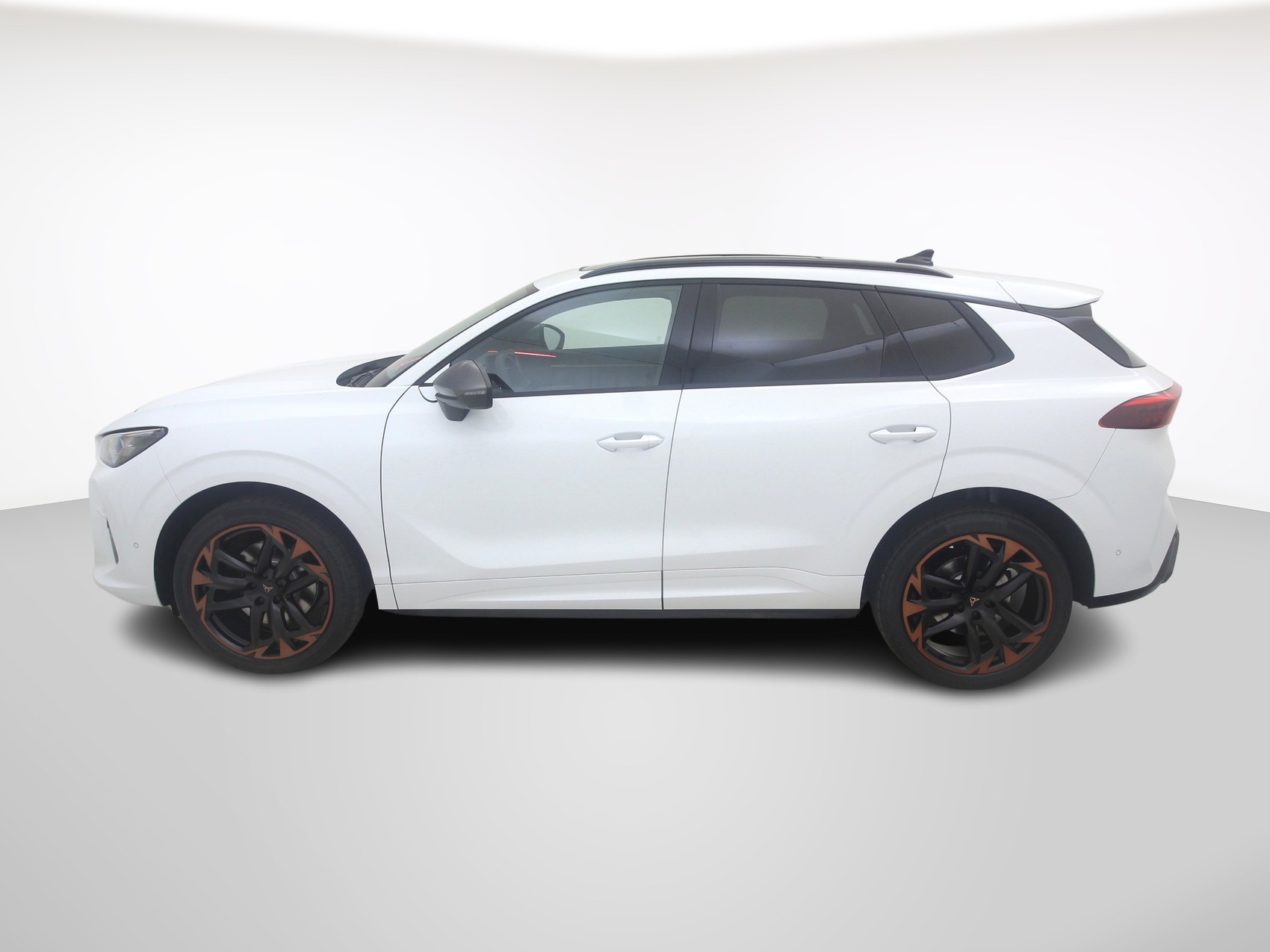 CUPRA Terramar 2.0 TSI 4Drive DSG-image-1