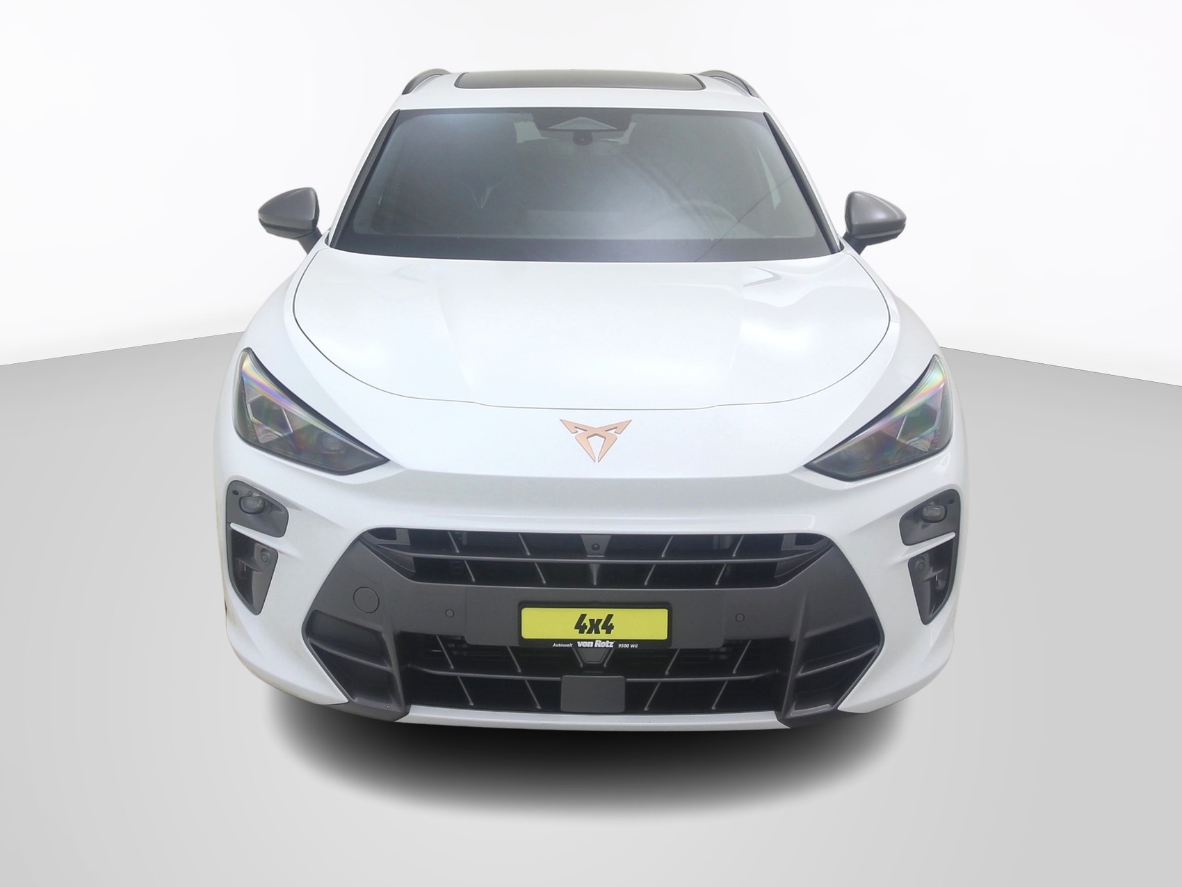 CUPRA Terramar 2.0 TSI 4Drive DSG-image-6