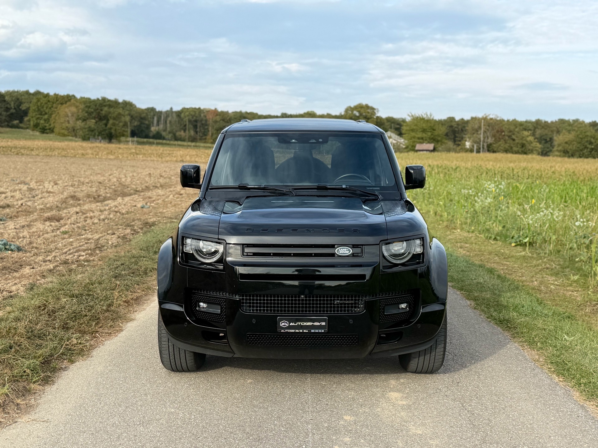 LAND ROVER Defender 110 P300 Si4 X-Dynamic HSE AT8-image-1