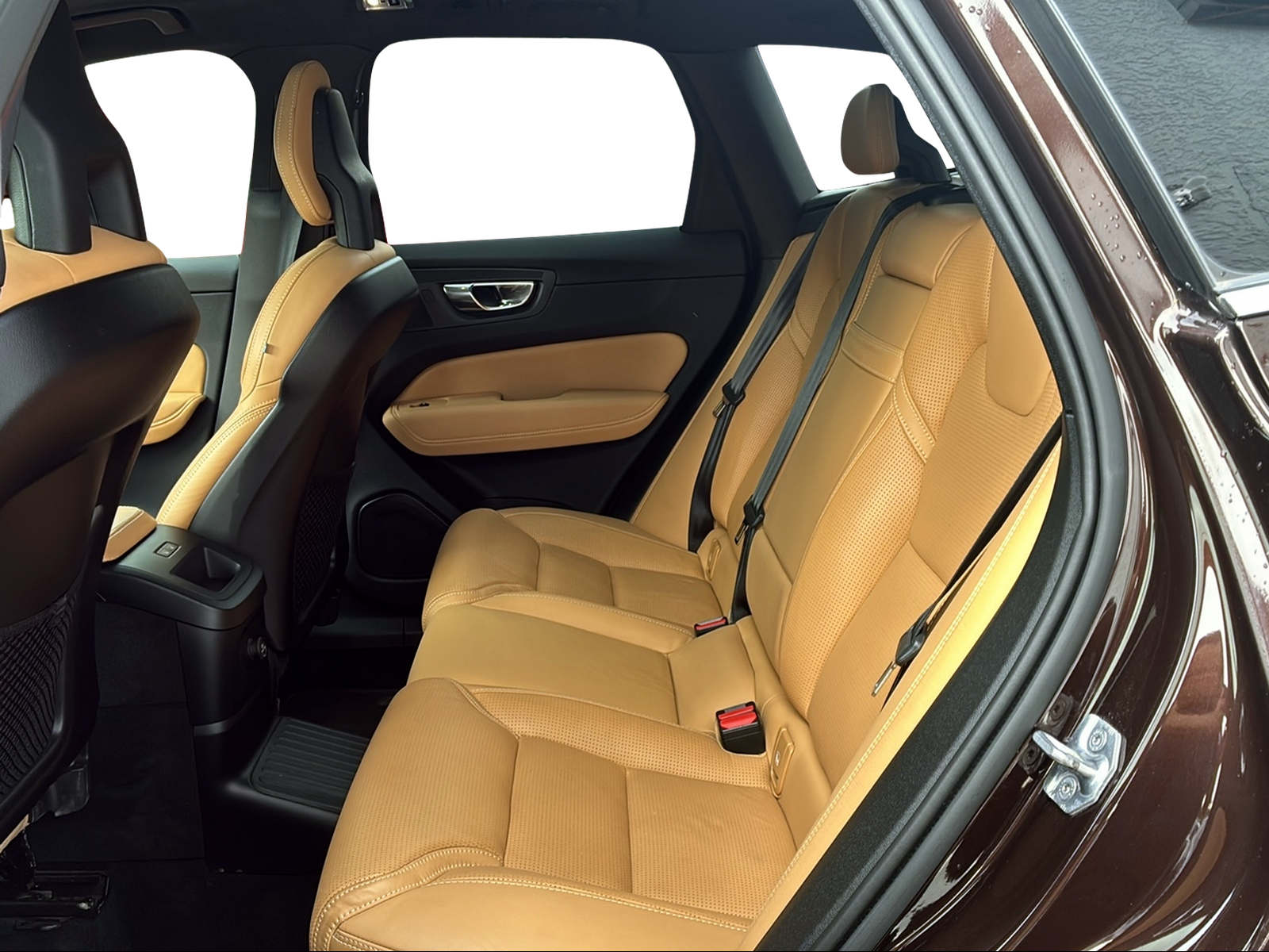VOLVO XC60 2.0 T8 TE Inscription AWD-image-11