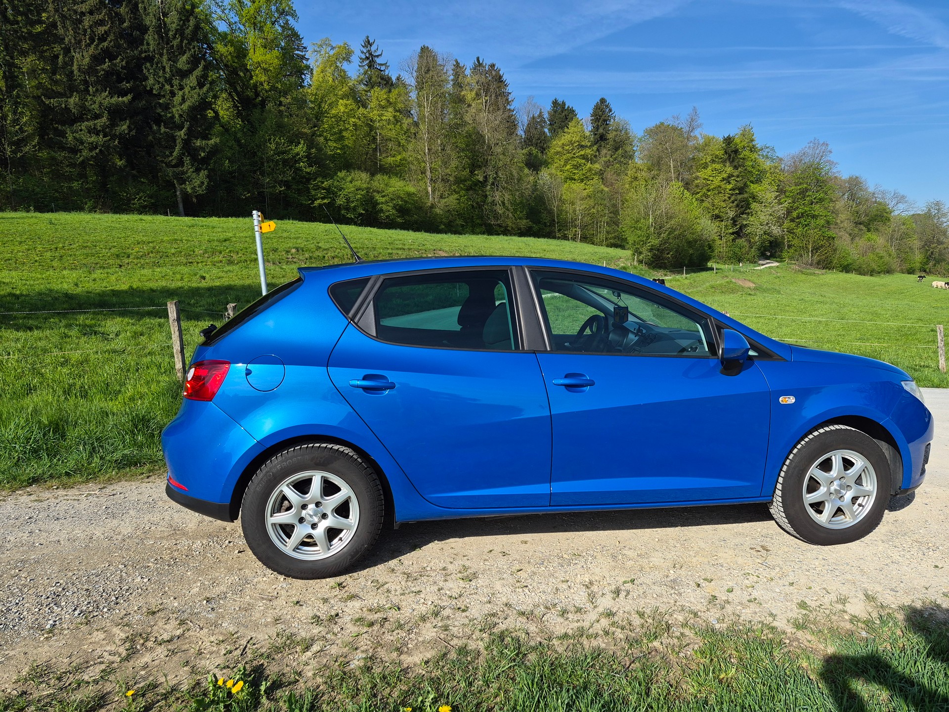 SEAT Ibiza 1.6 Good Stuff - Frisch ab Service-image-1