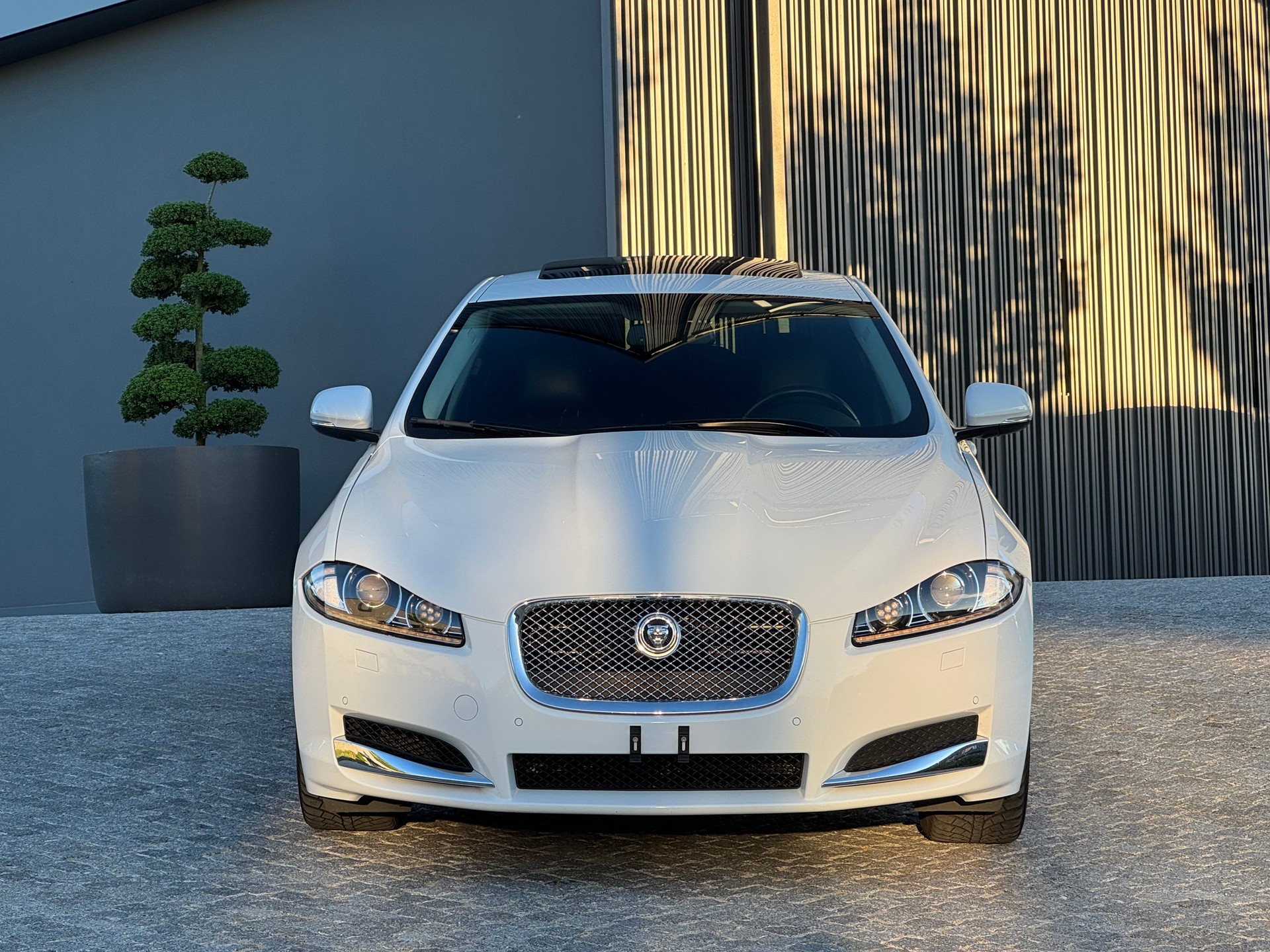 JAGUAR 2.0 Ti Luxury-image-1