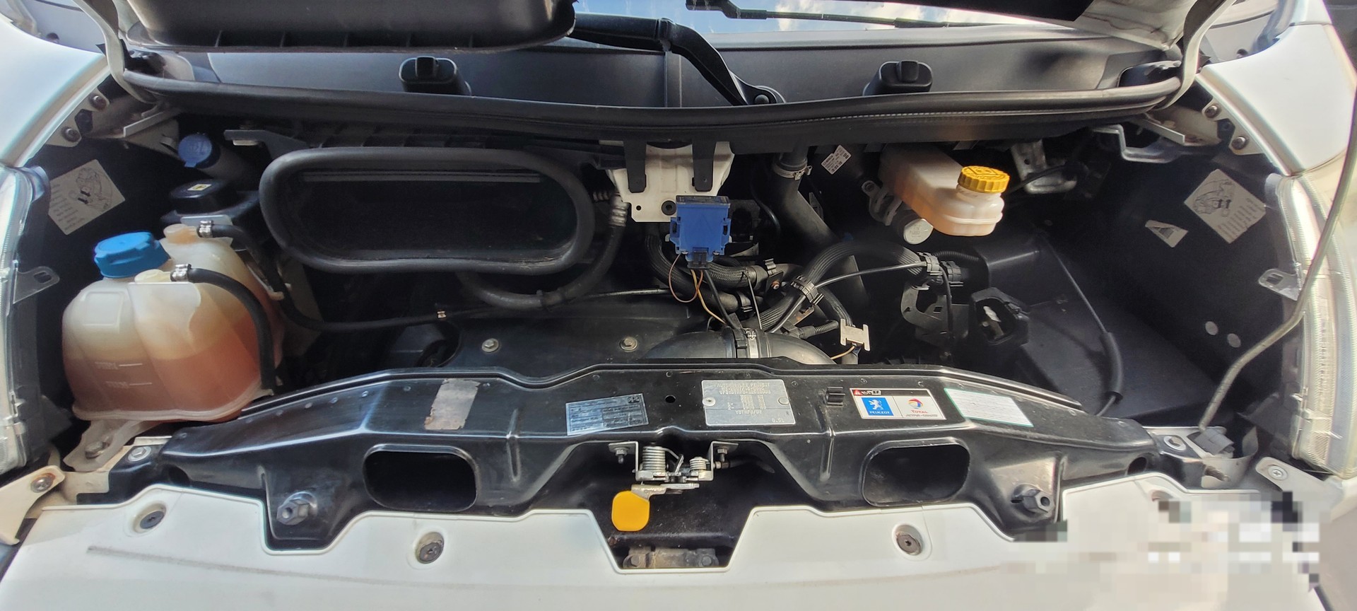 PEUGEOT L2 H1 - 1. Hand – Servicegepflegt – neuer DPF – frisch ab Service - MFK-image-10