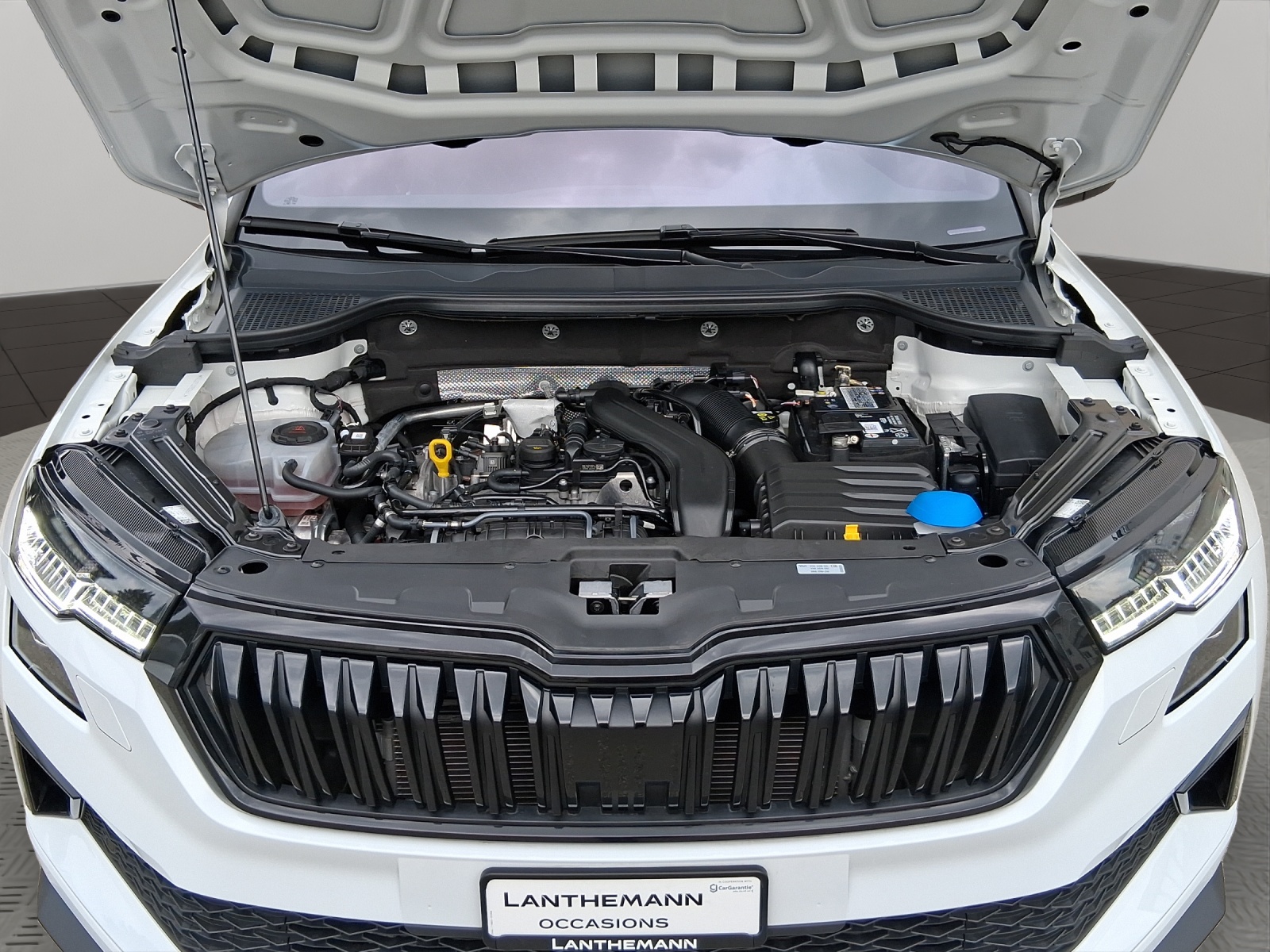 SKODA Karoq 1.5 TSI SportLine DSG-image-19