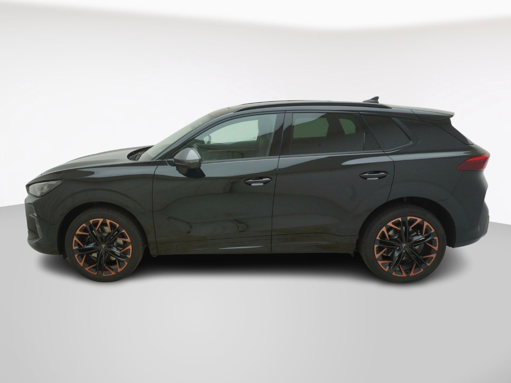 CUPRA Terramar 2.0 TSI 4Drive DSG-image-1