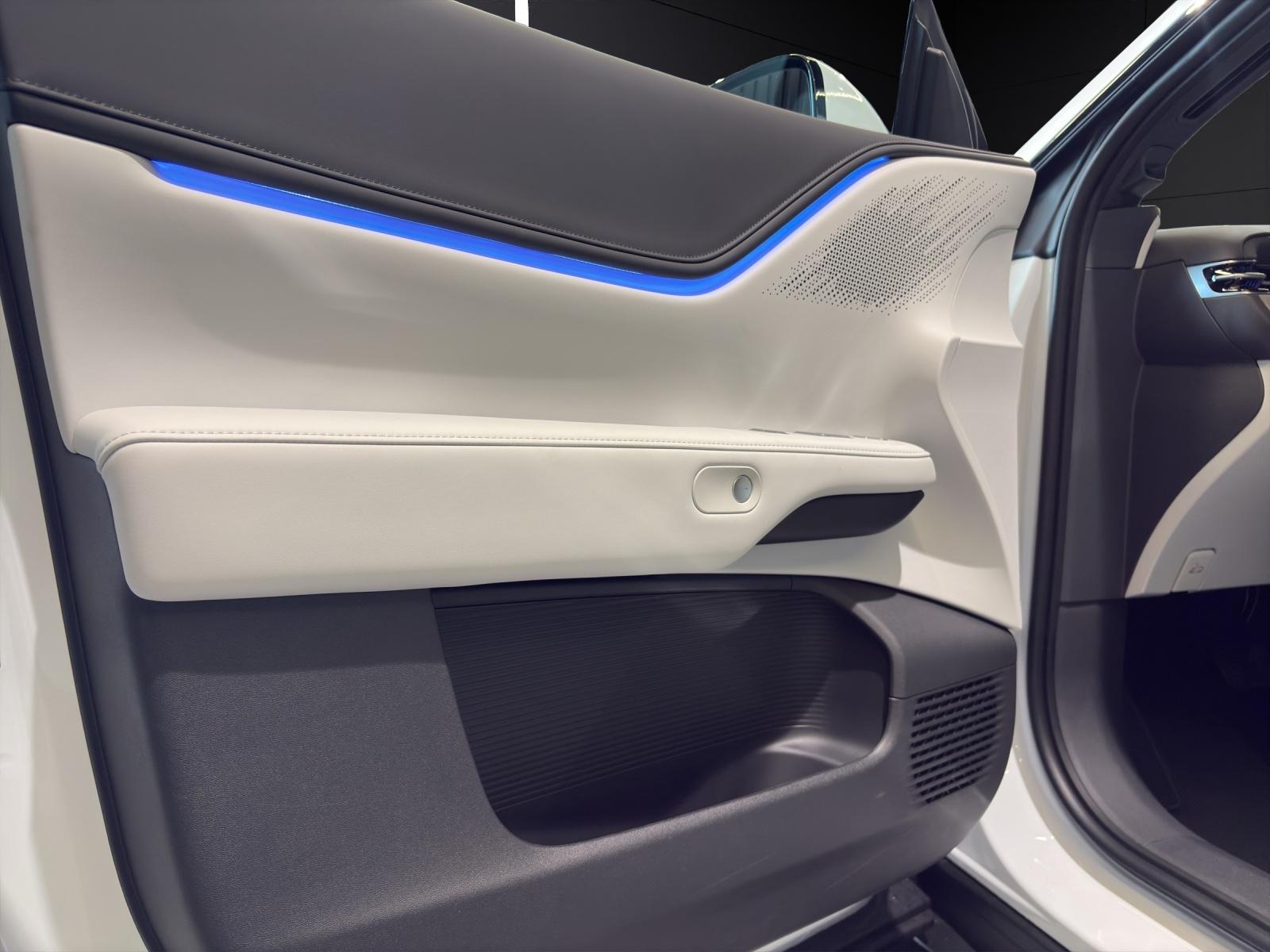 XPENG G6 Performance AWD-image-14