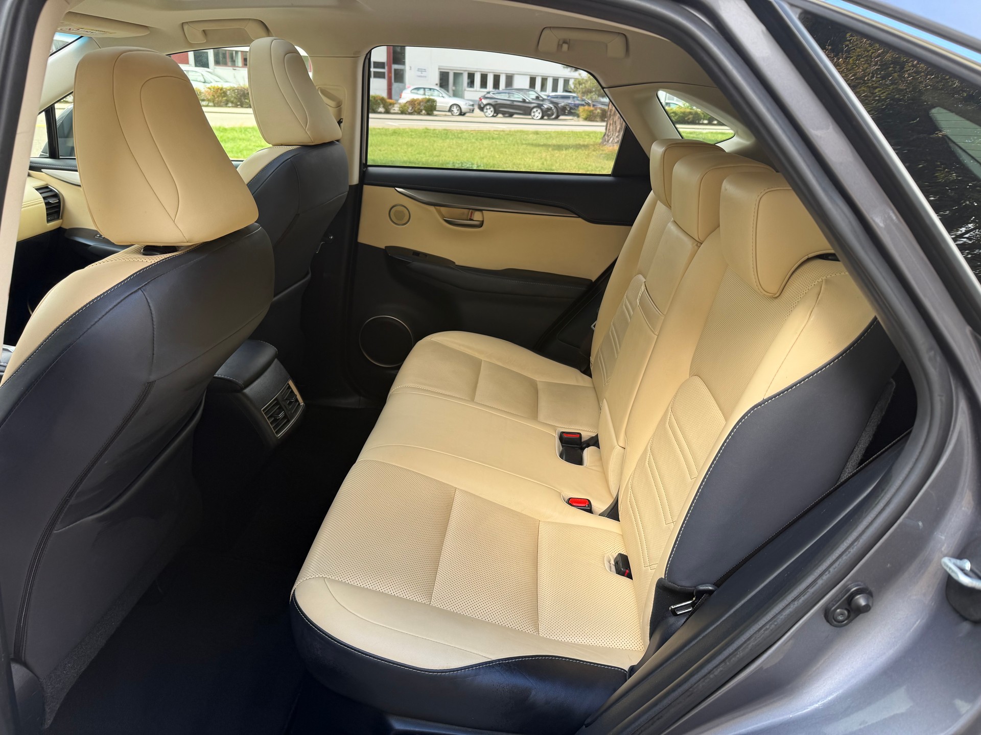 LEXUS NX 300h excellence E-Four Automatic-image-11