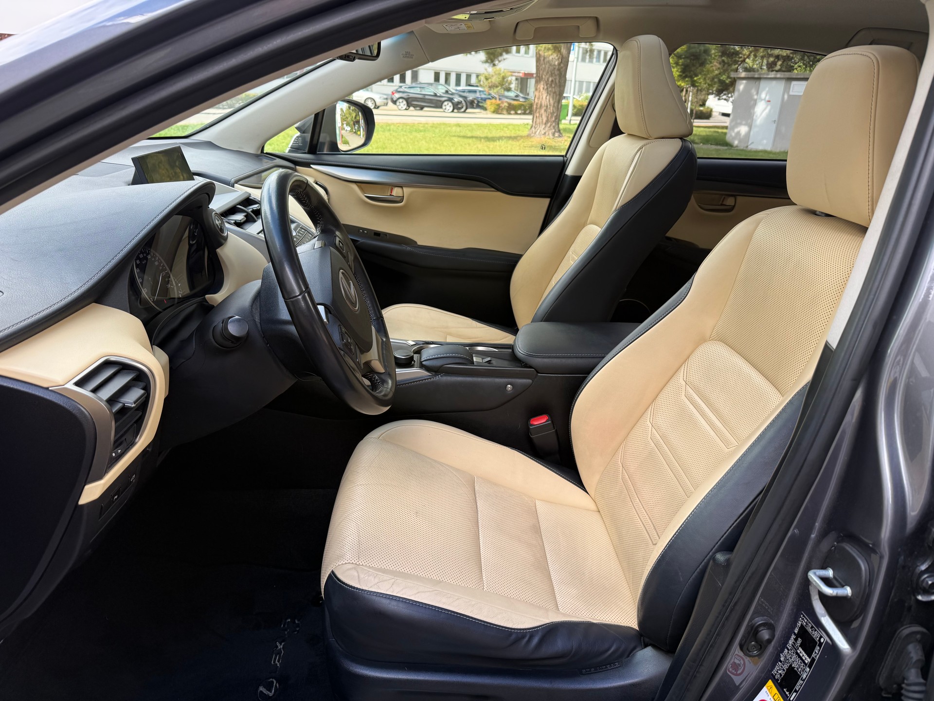 LEXUS NX 300h excellence E-Four Automatic-image-6