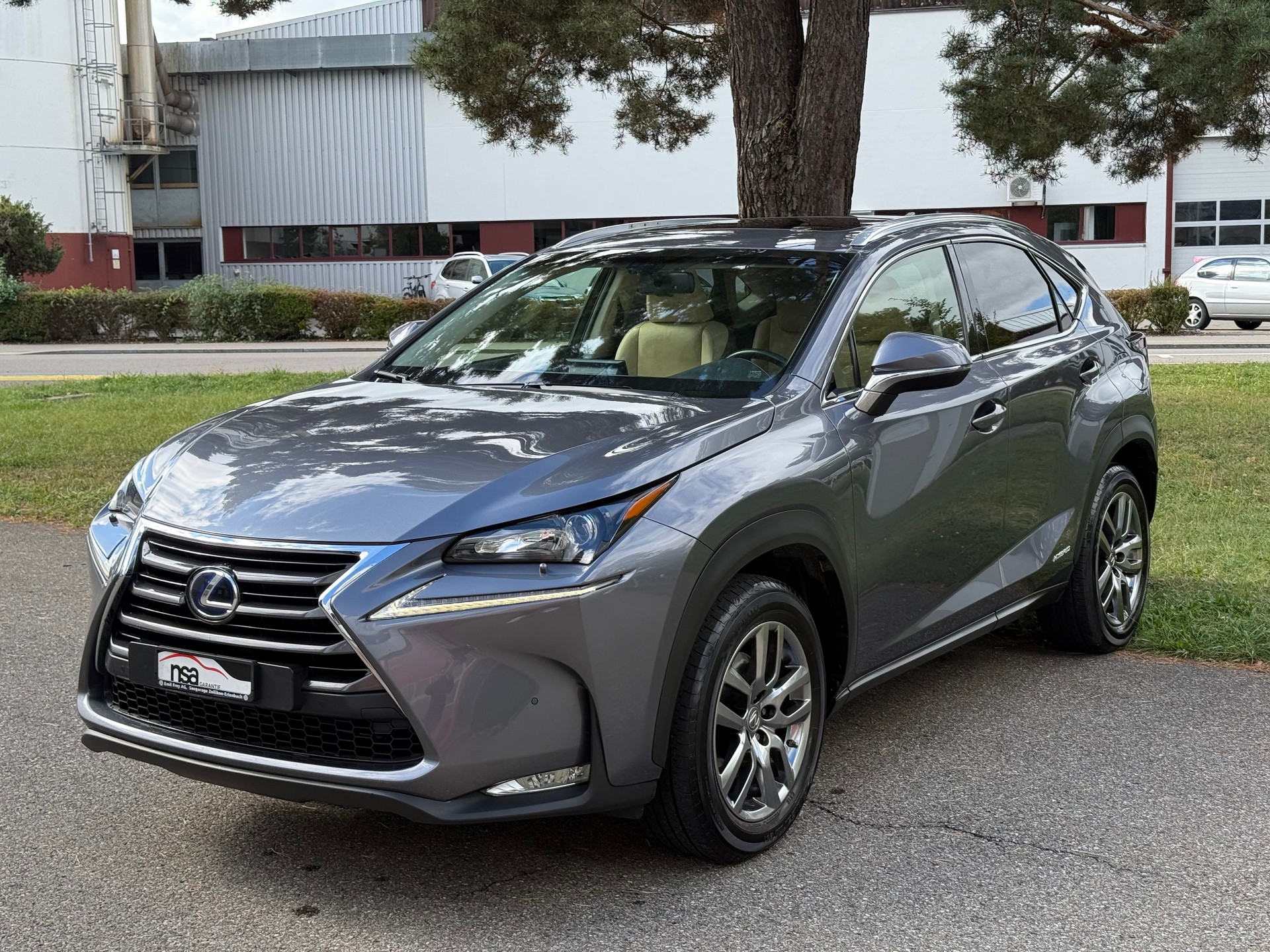 LEXUS NX 300h excellence E-Four Automatic-image-2