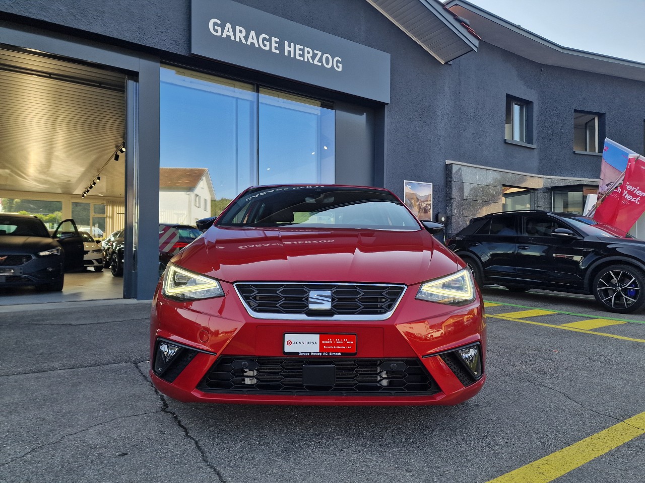 SEAT Ibiza 1.5 EcoTSI FR DSG-image-8