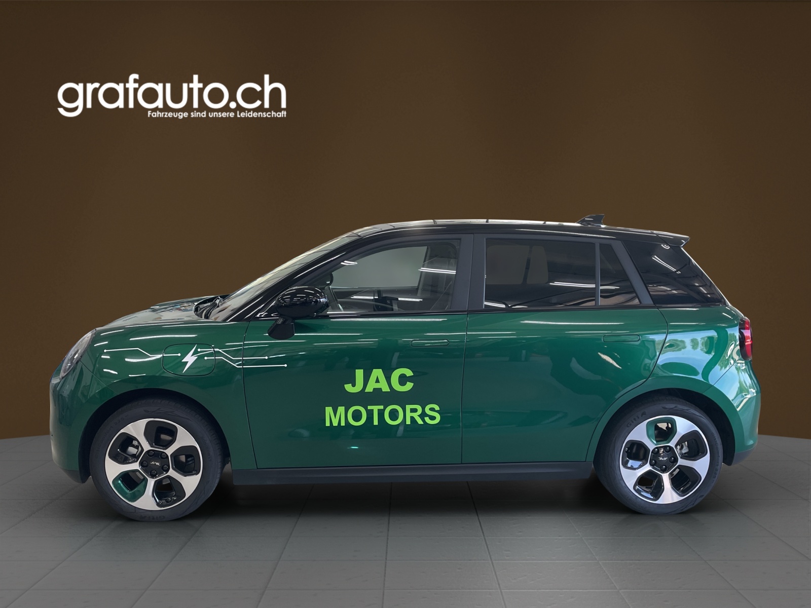 JAC E30X 51 kWh-image-0