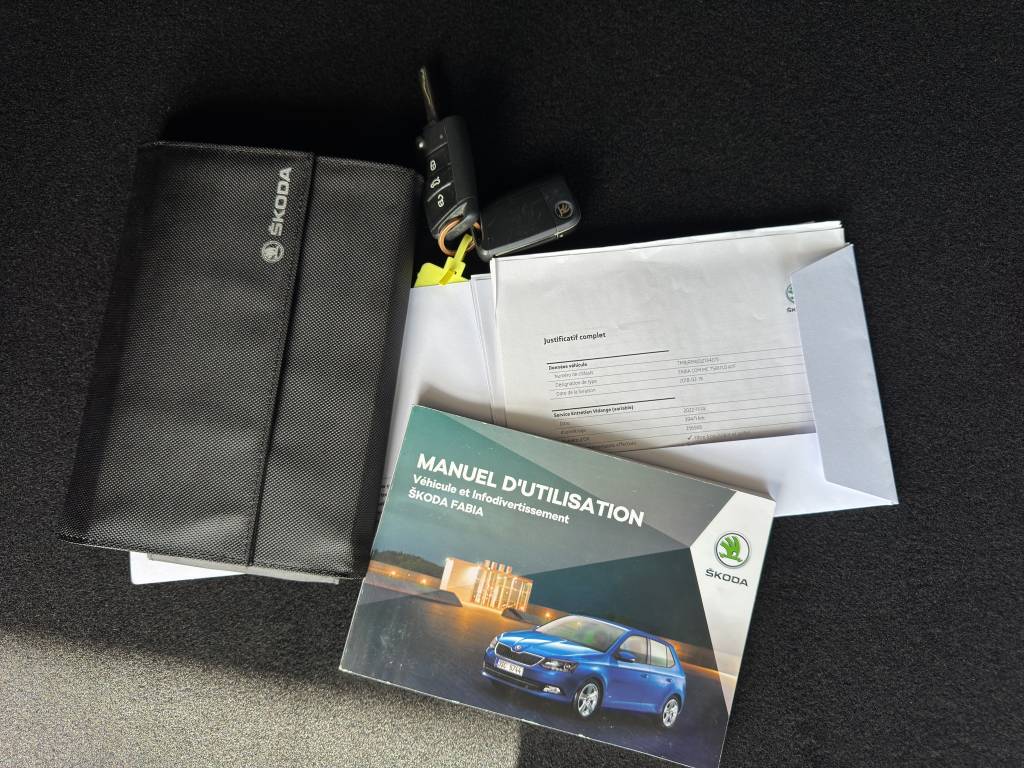 SKODA Fabia 1.0 TSI Monte Carlo DSG-image-10