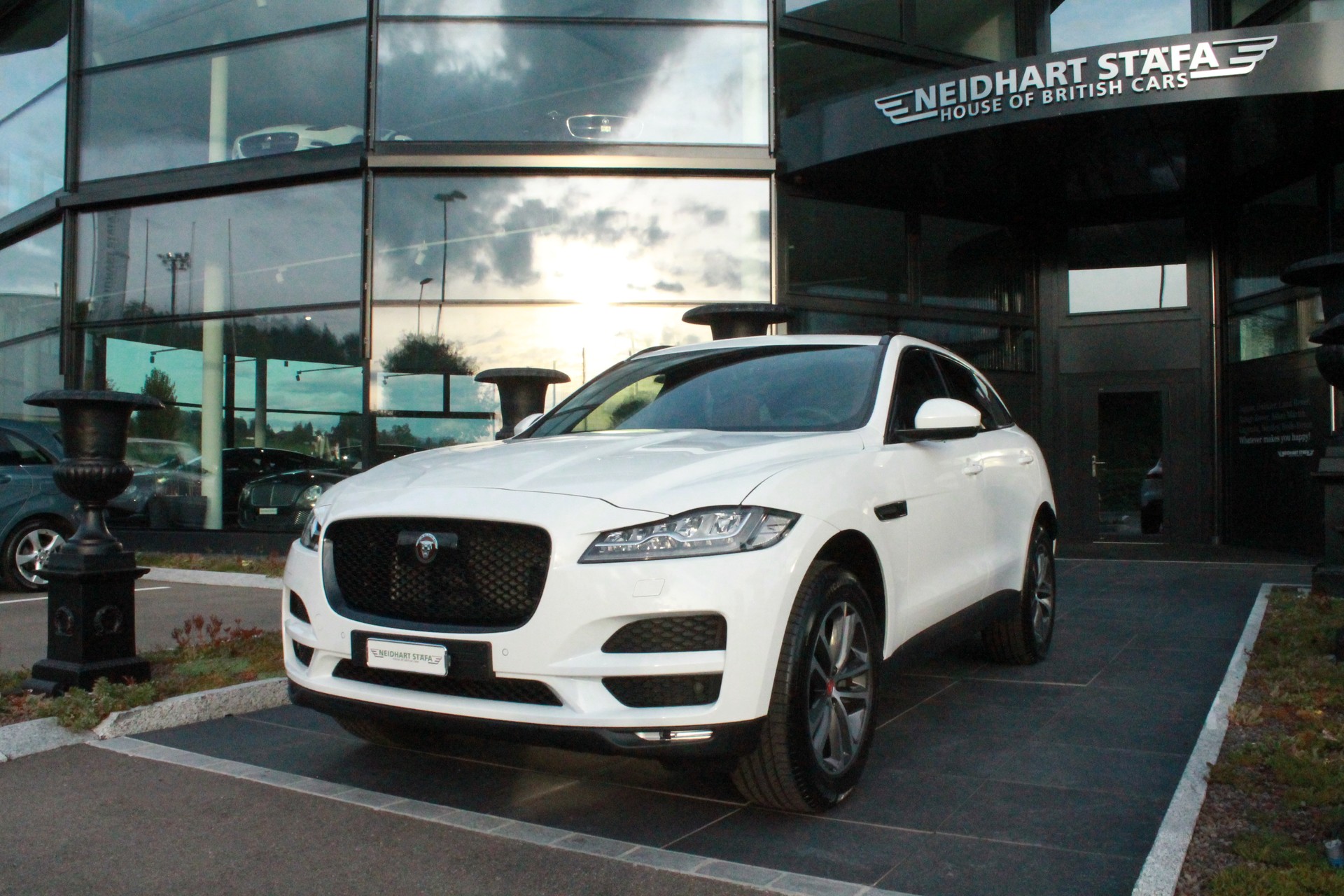 JAGUAR F-Pace 30t 2.0 Portfolio AWD Automatik-image-0