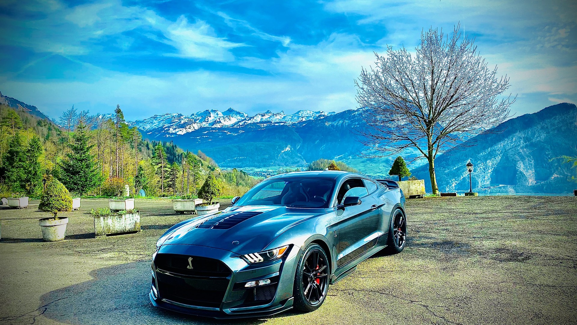 FORD MUSTANG GT 500-image-0