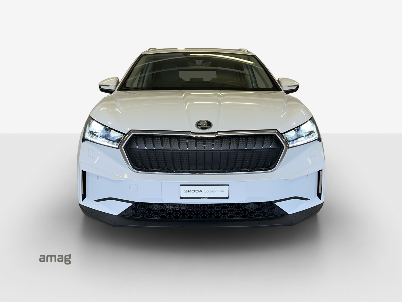 SKODA Enyaq iV 80x-image-6