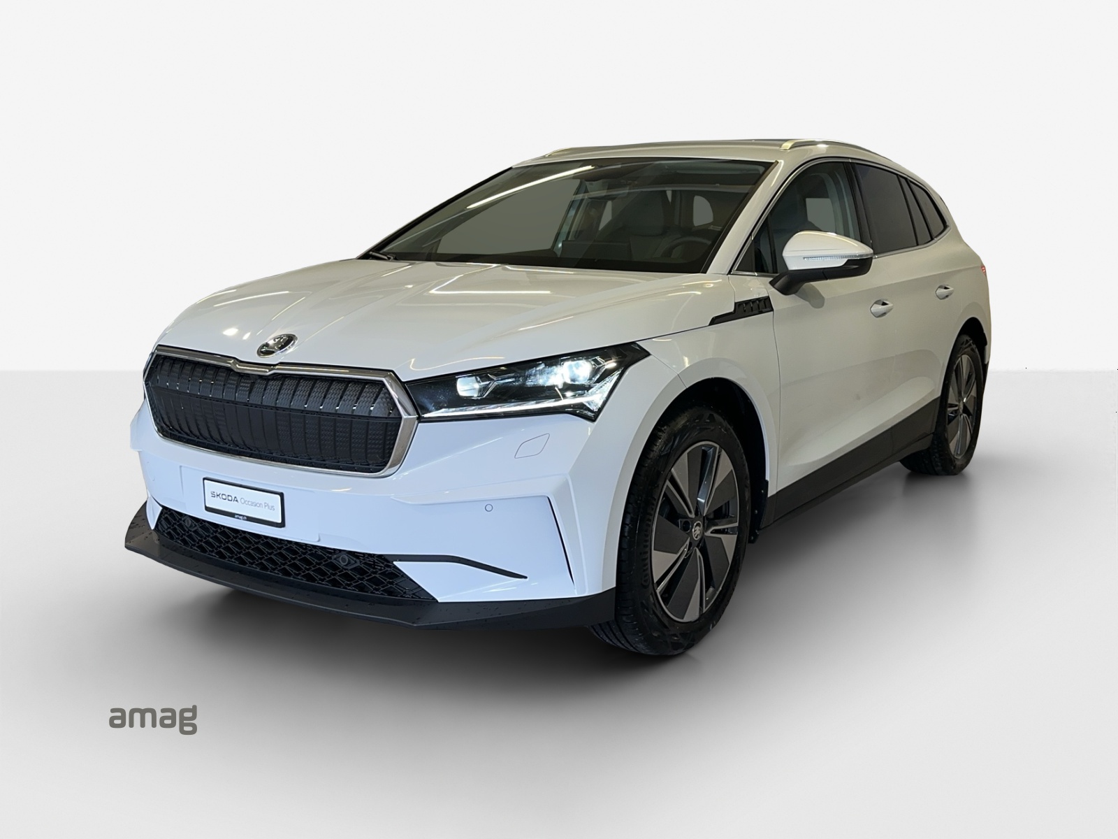 SKODA Enyaq iV 80x-image-0