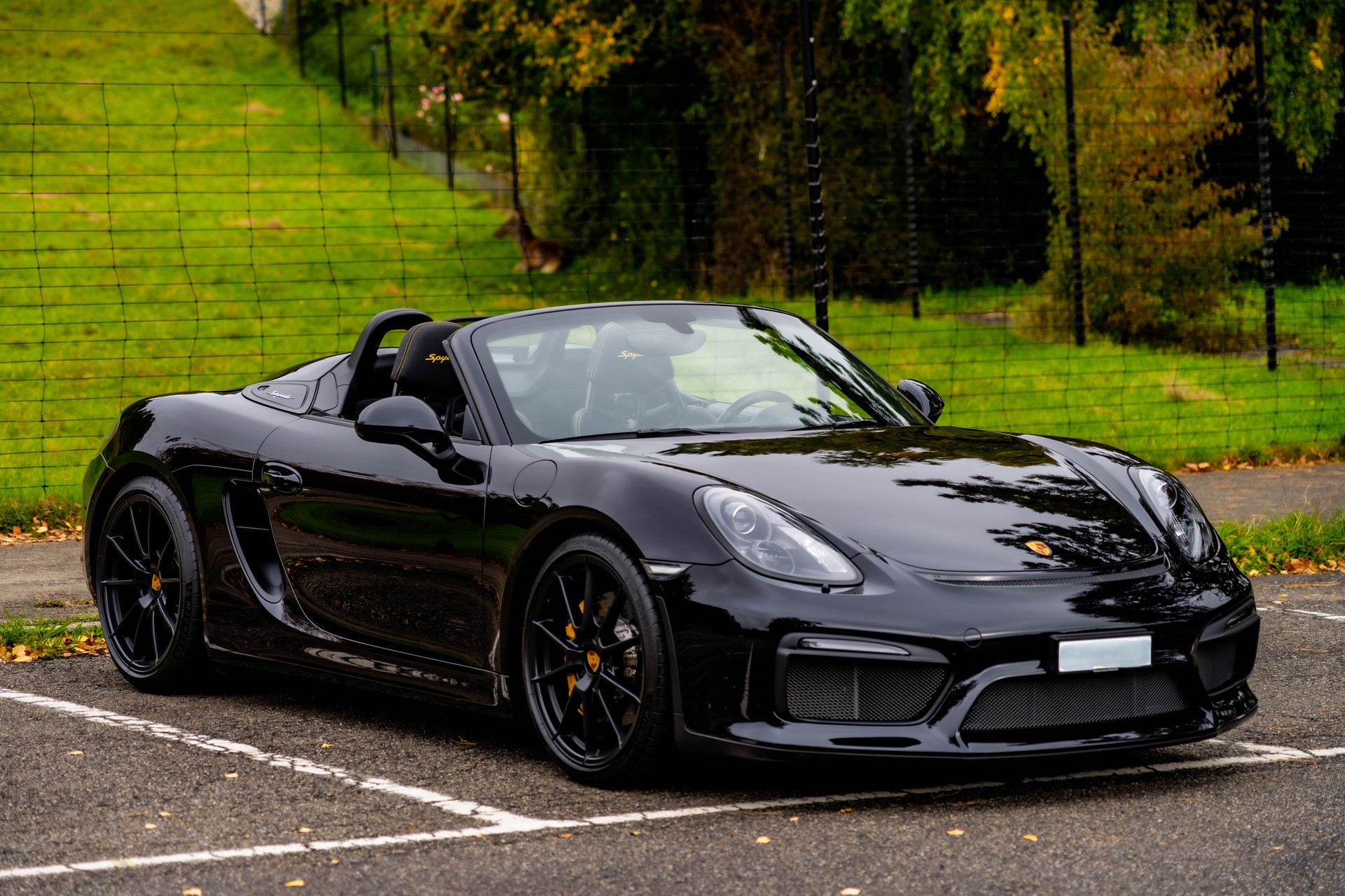 PORSCHE Boxster Spyder 3.8, Approved bis 18.8.2027-image-0