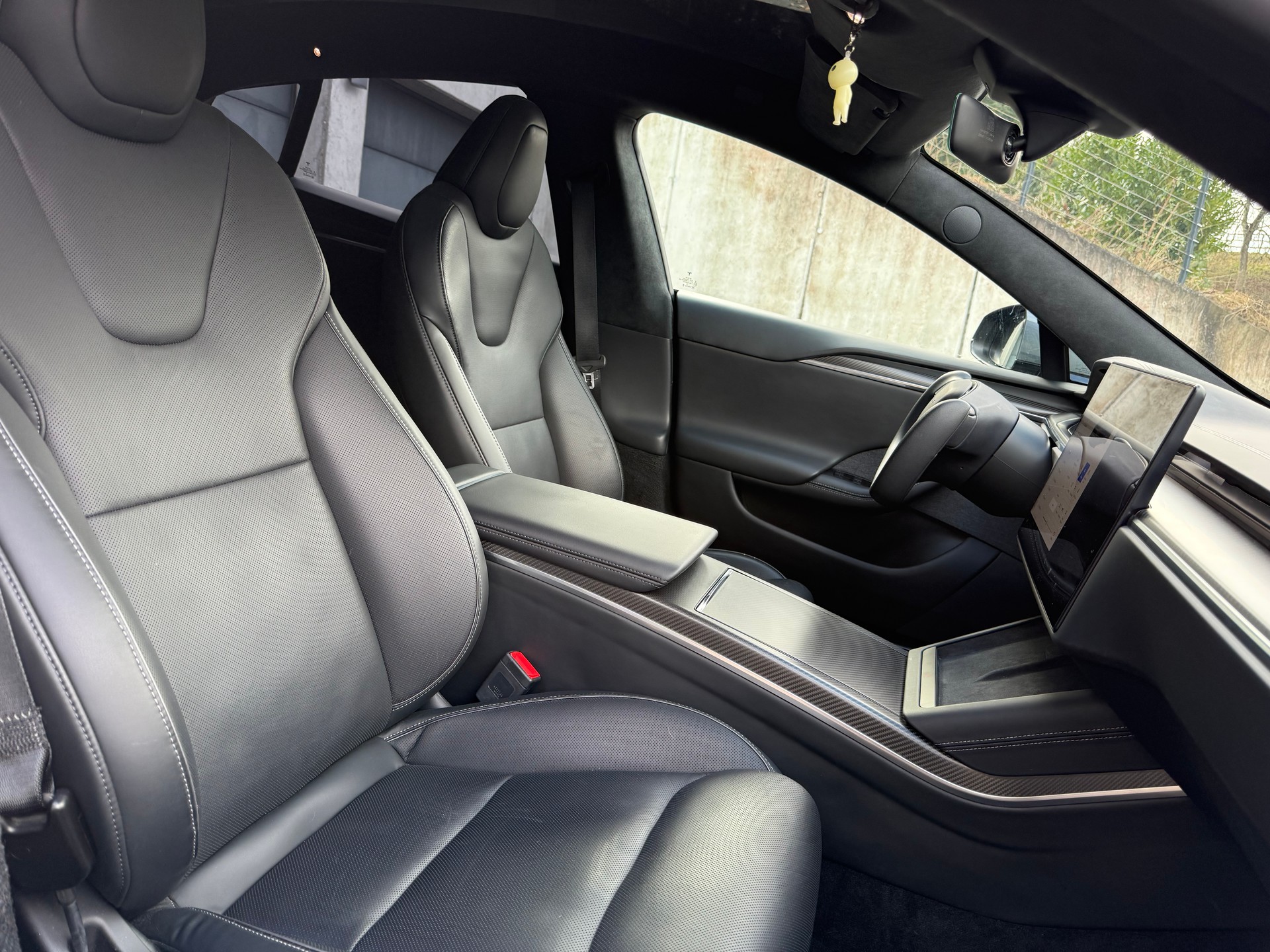 TESLA Model S 100 kWh Plaid-image-4
