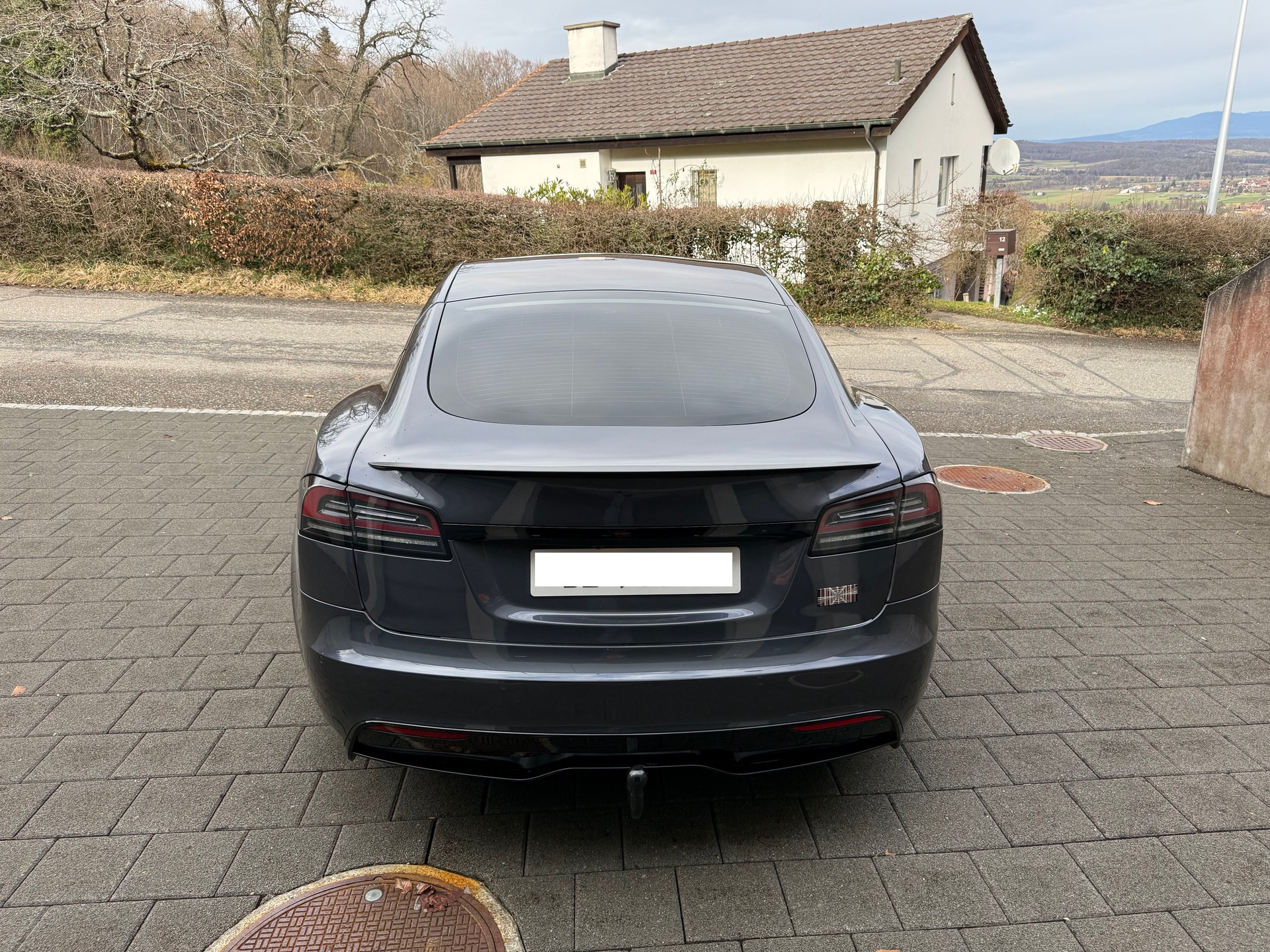 TESLA Model S 100 kWh Plaid-image-3