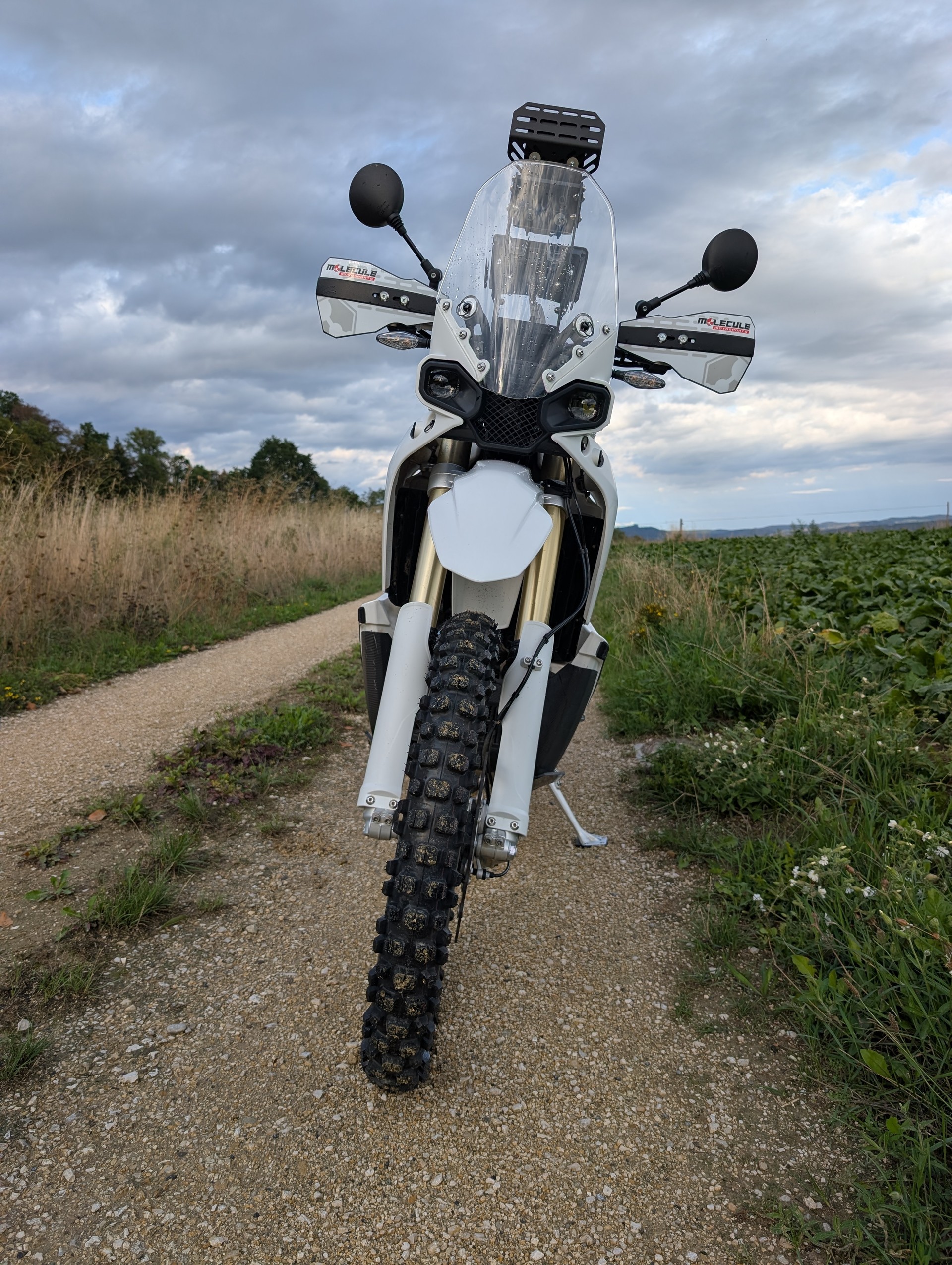 KOVE 450 Rally-image-4