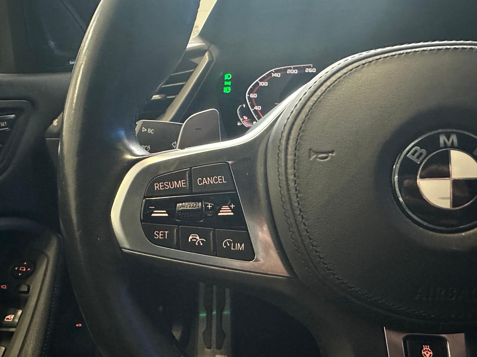 BMW M135i xDrive Steptronic-image-17