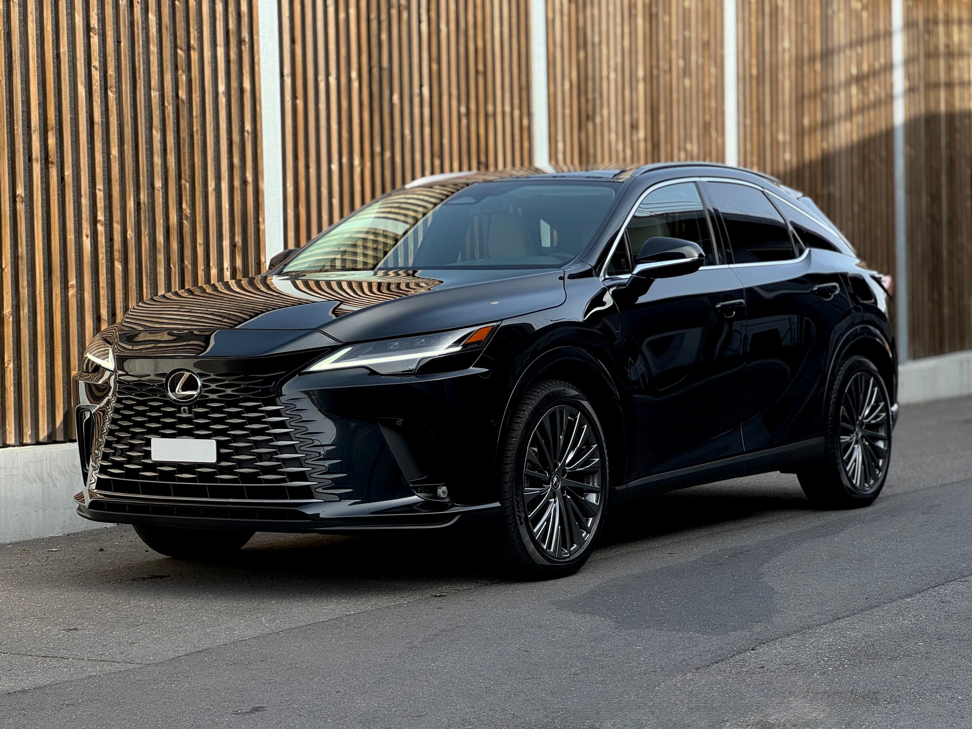 LEXUS RX 450h+ Ecxellence AWD CVT-image-0