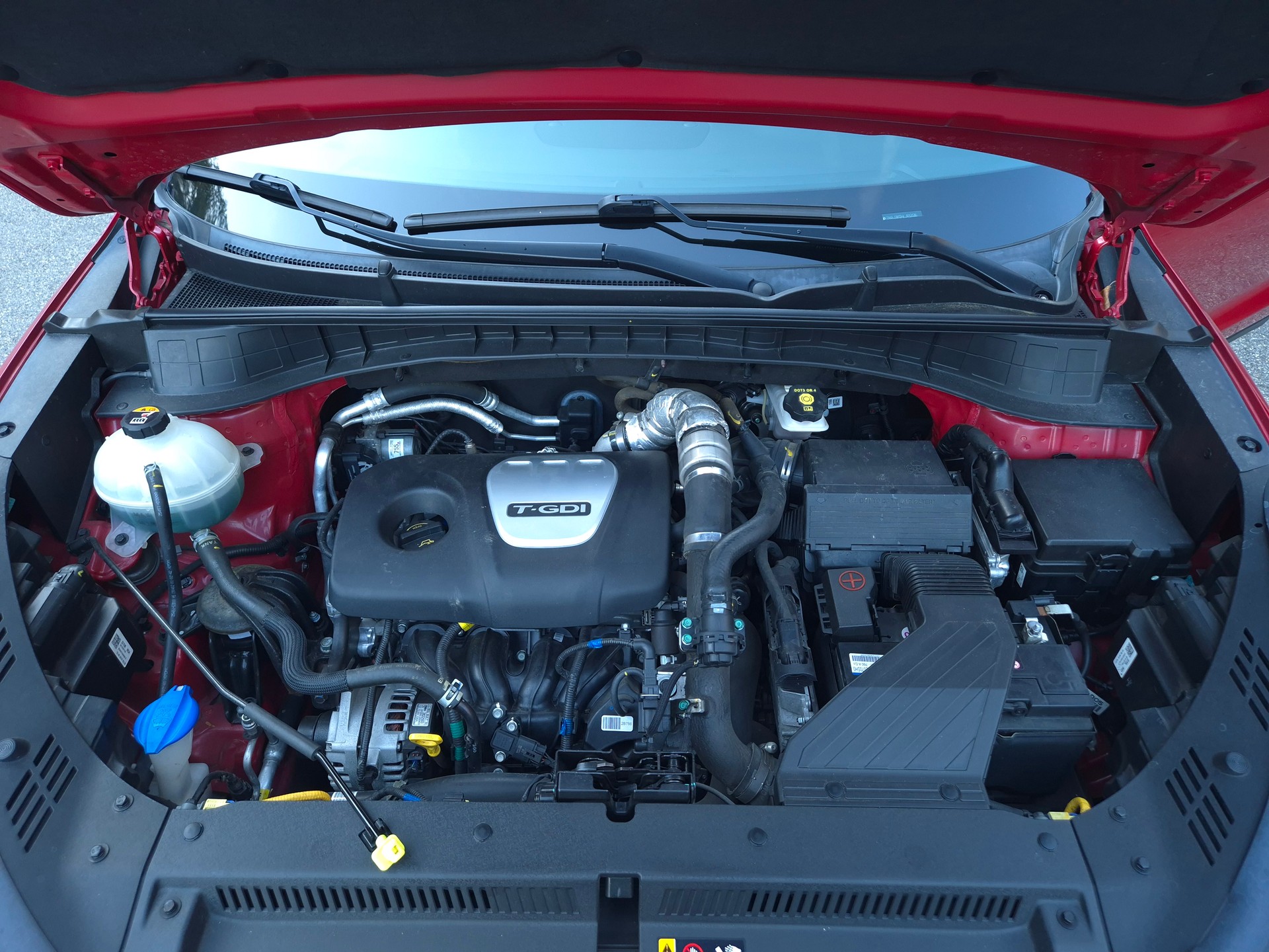 HYUNDAI Tucson 1.6 TGDI N-Line 4WD DCT-image-30