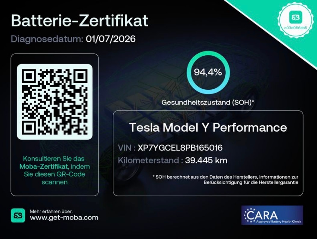 TESLA Model Y Performance Dual Motor All-Wheel Drive-image-11