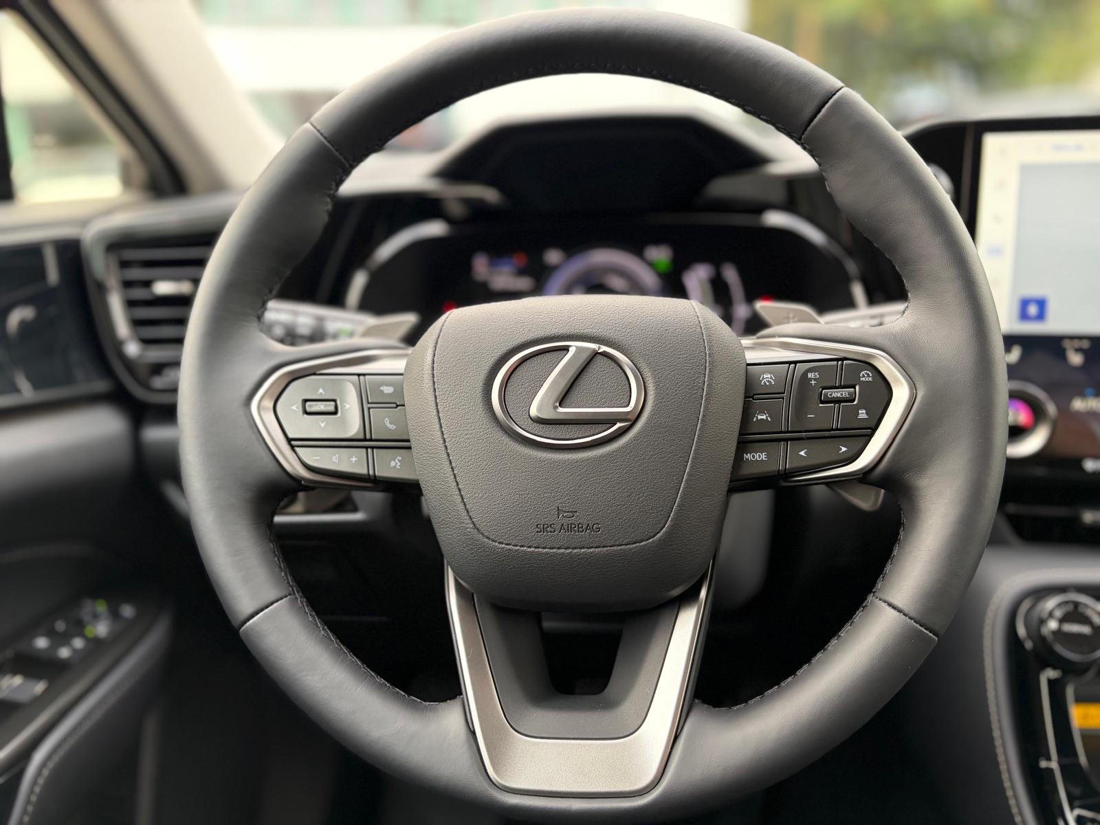 LEXUS NX 450h+ E-FOUR Comfort-image-16