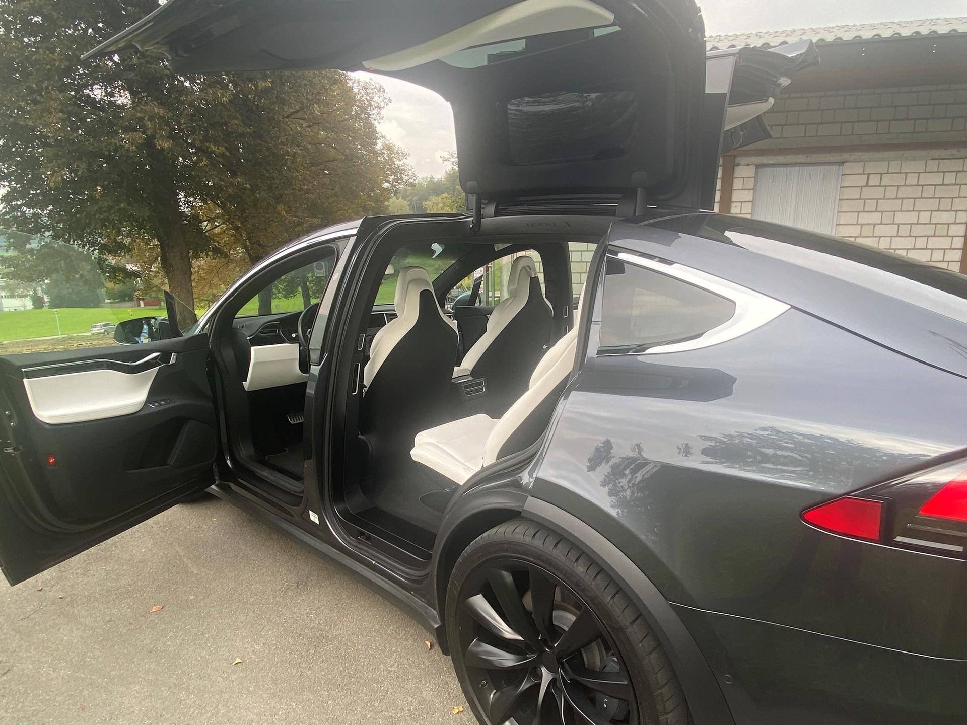 TESLA Model X 100 D-image-4