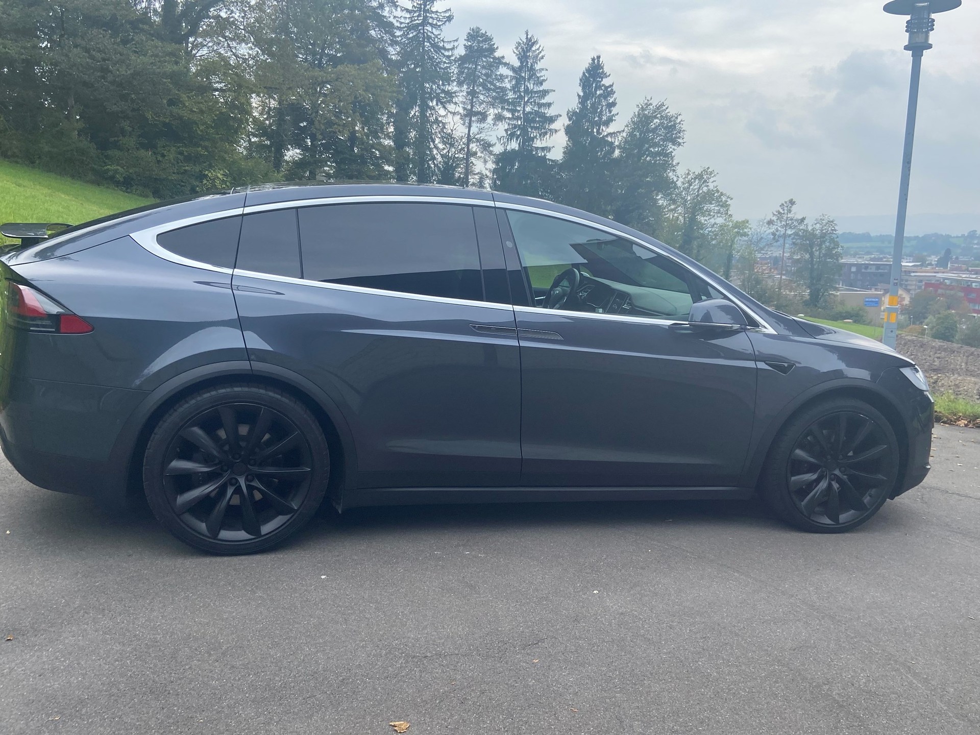 TESLA Model X 100 D-image-2