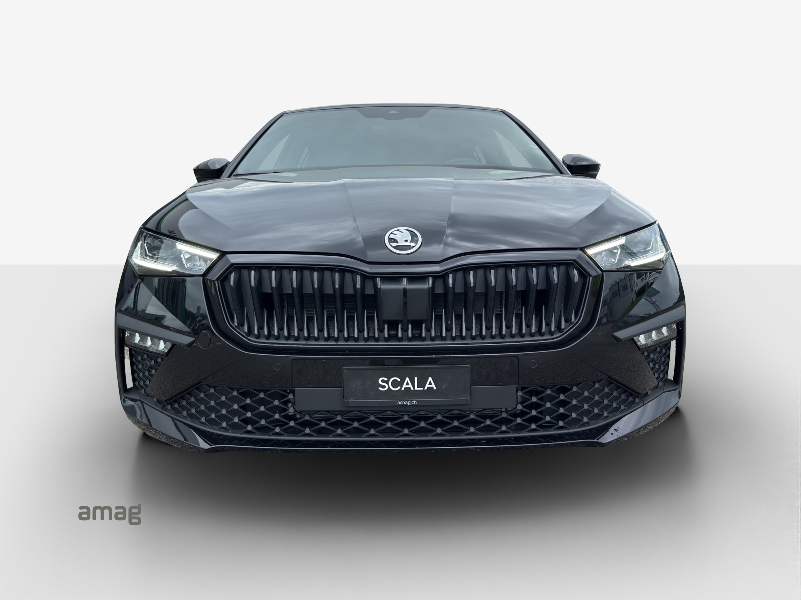 SKODA Scala 1.0 TSI Dynamic DSG-image-6