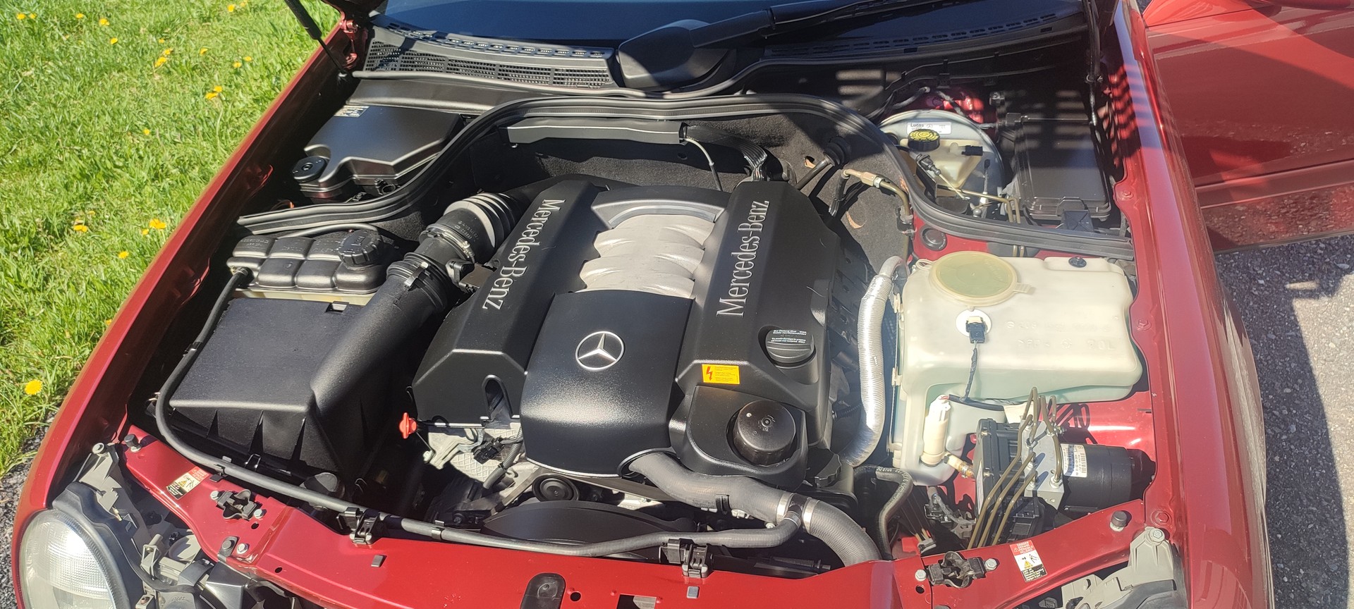 MERCEDES-BENZ CLK 320 Elégance Automatic-image-22