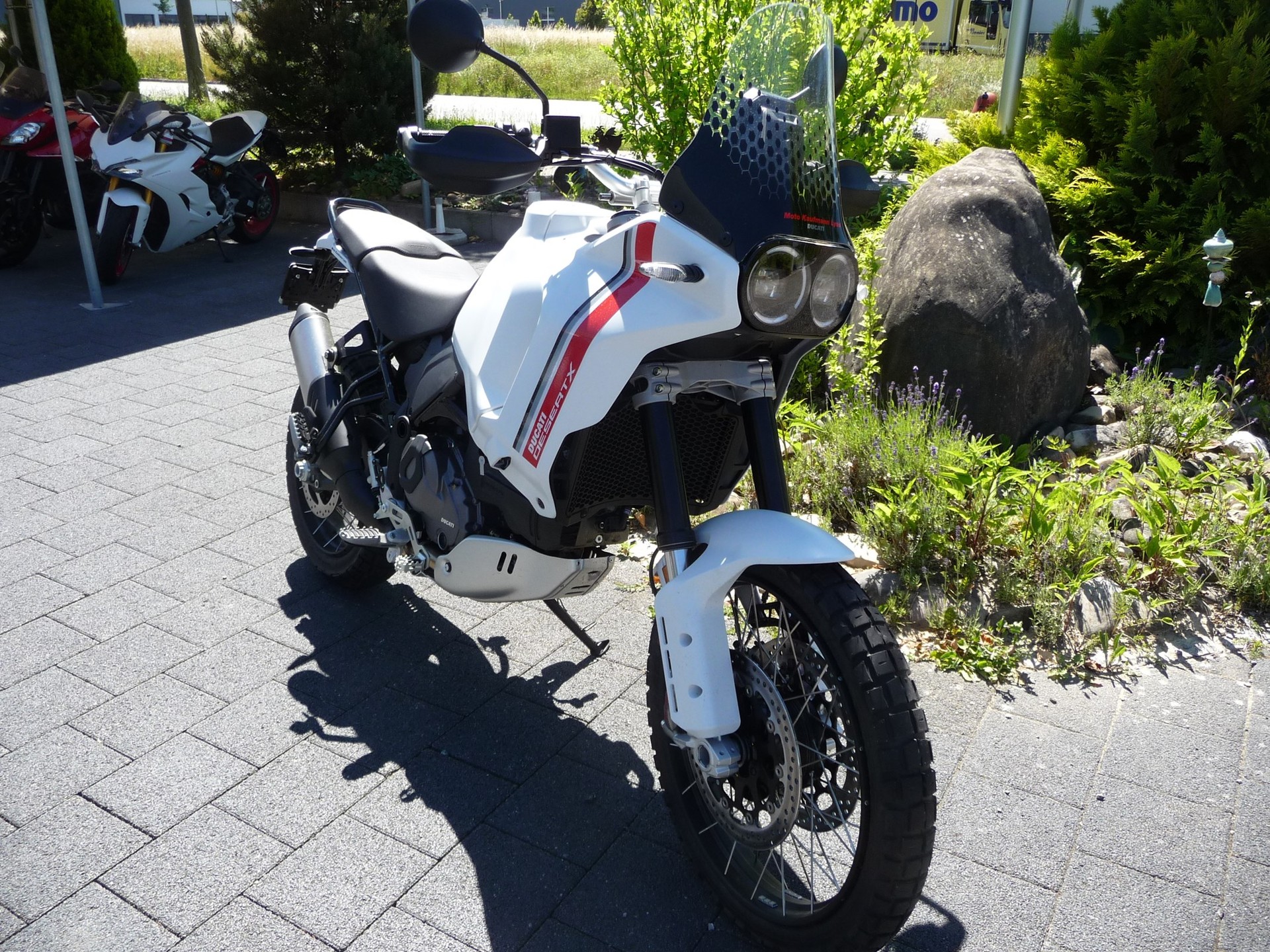 DUCATI DESERT X-showroom-element-2