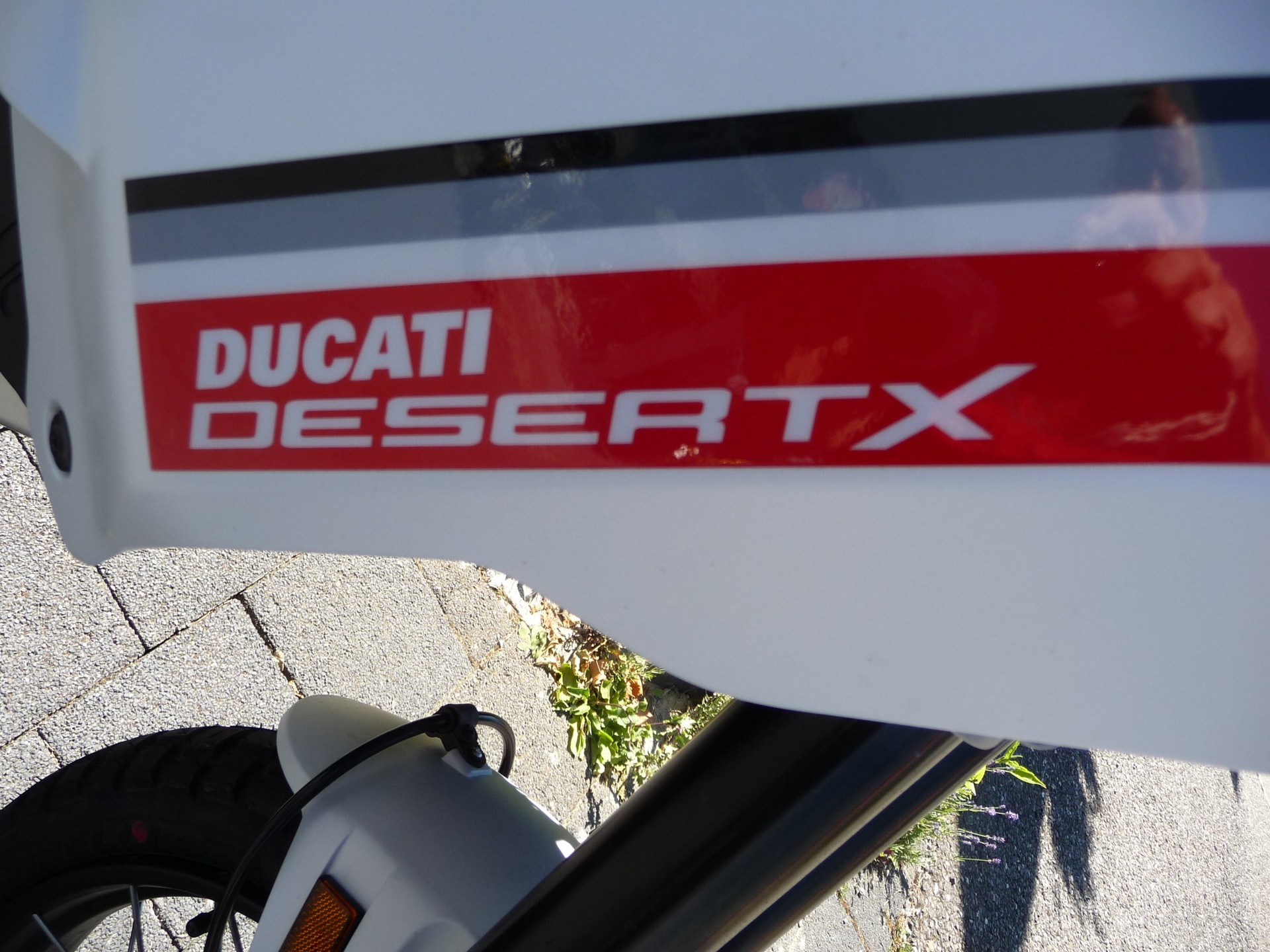 DUCATI DESERT X-image-4