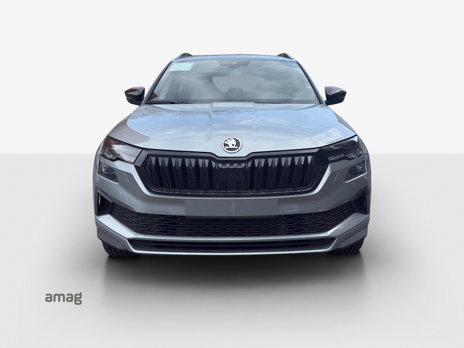 SKODA Karoq 1.5 TSI Dynamic DSG-image-6