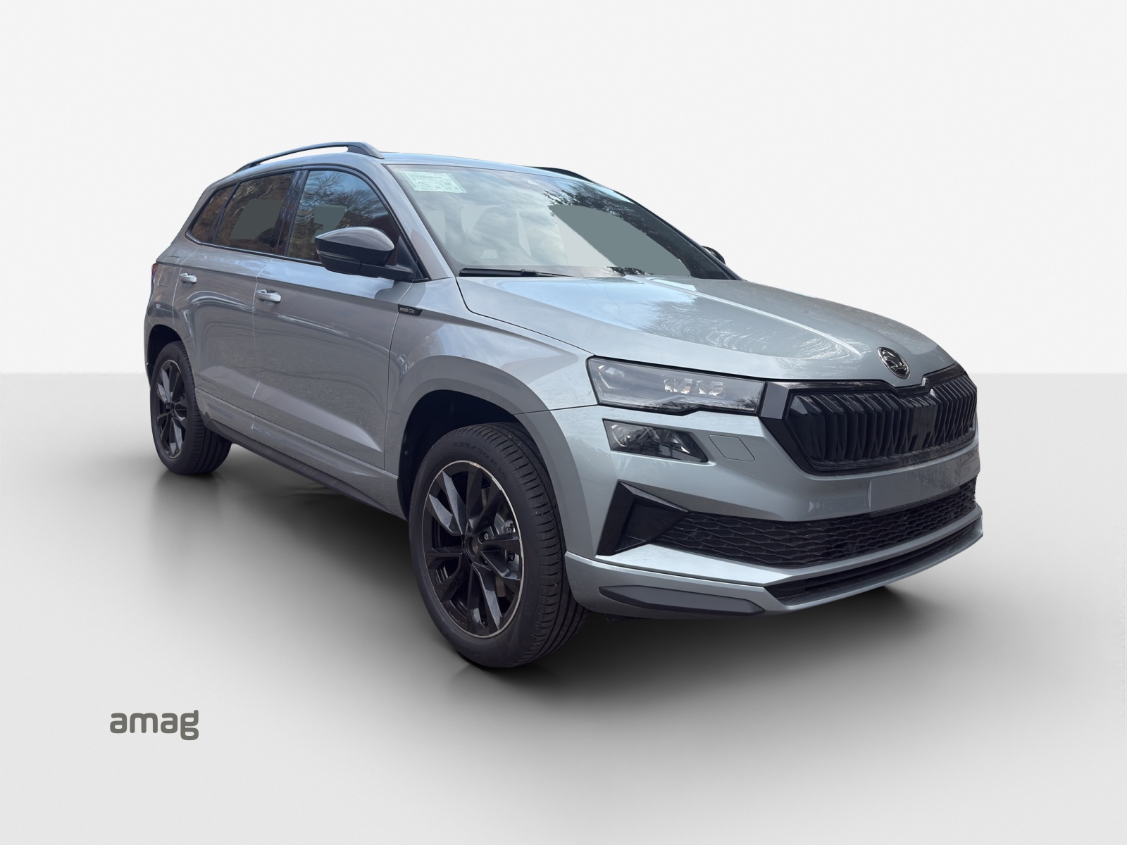 SKODA Karoq 1.5 TSI Dynamic DSG-image-5