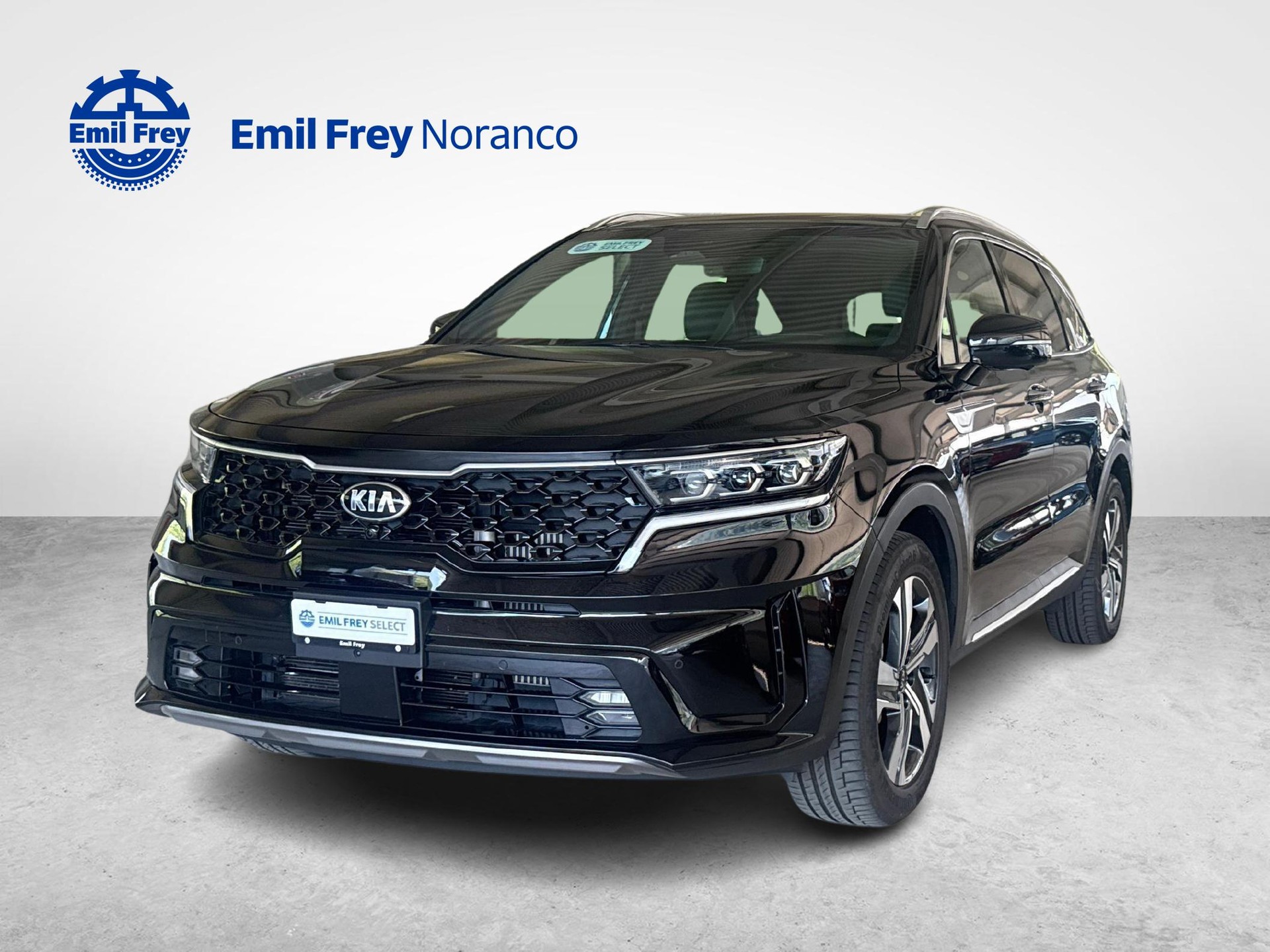 KIA Sorento 1.6 T-GDi Hybrid Style 7P + Gancio traino amovibile incluso-image-0