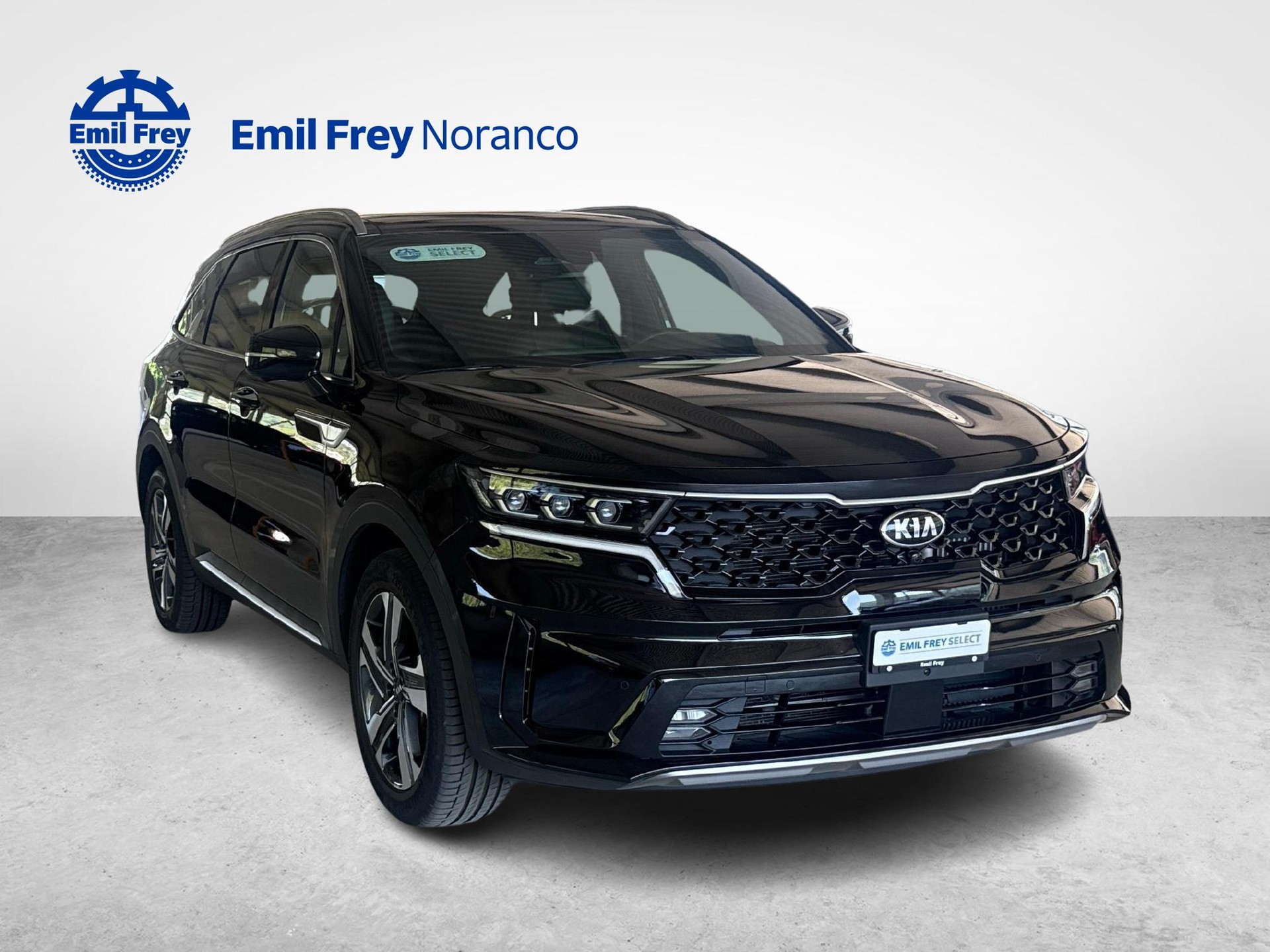 KIA Sorento 1.6 T-GDi Hybrid Style 7P + Gancio traino amovibile incluso-image-6