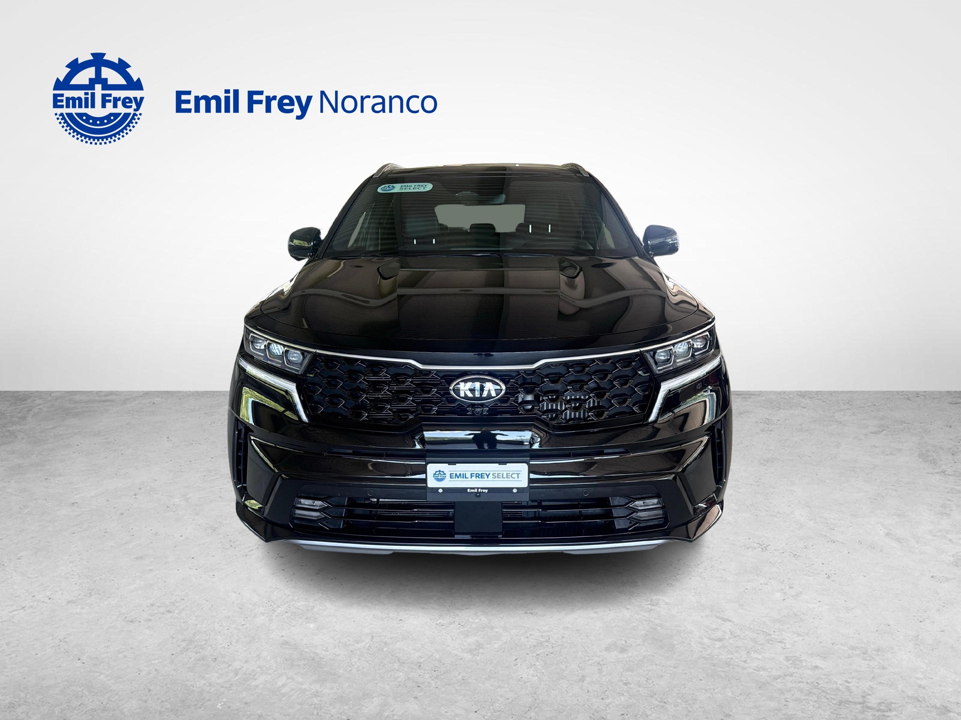 KIA Sorento 1.6 T-GDi Hybrid Style 7P + Gancio traino amovibile incluso-image-7