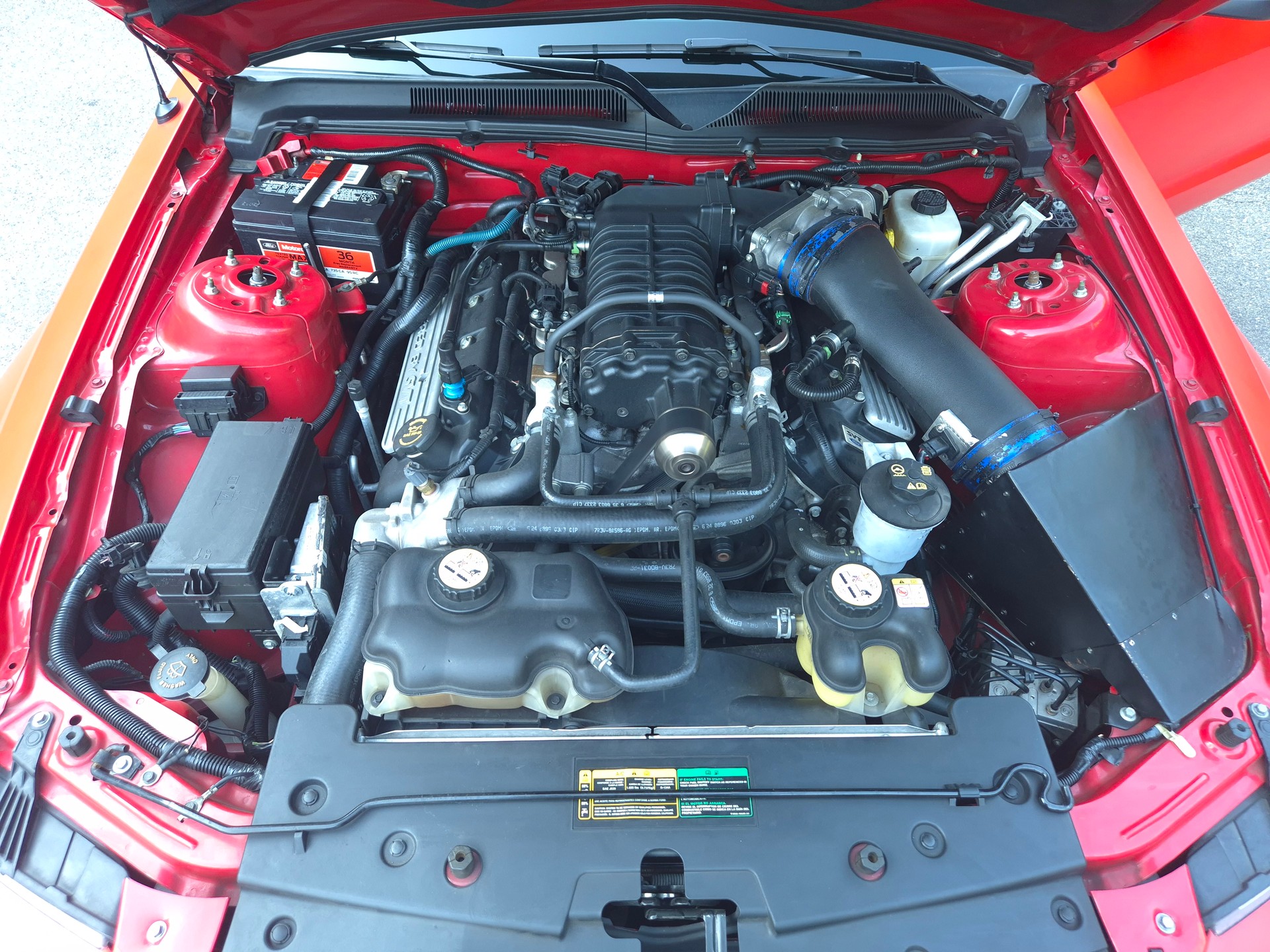 FORD Mustang Shelby GT500 SVT-image-26