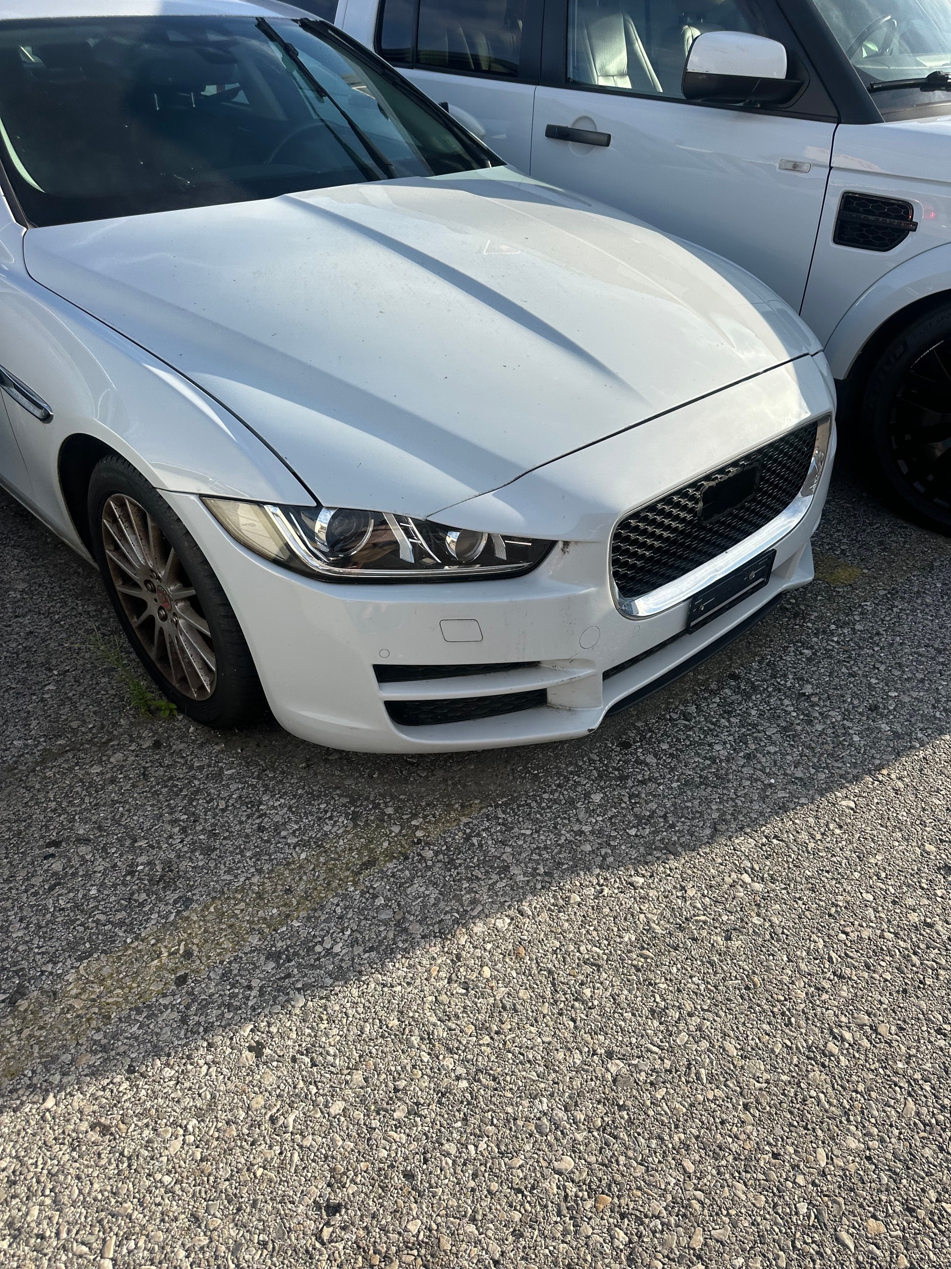 JAGUAR XE E-Performance 20d Pure Automat-image-7
