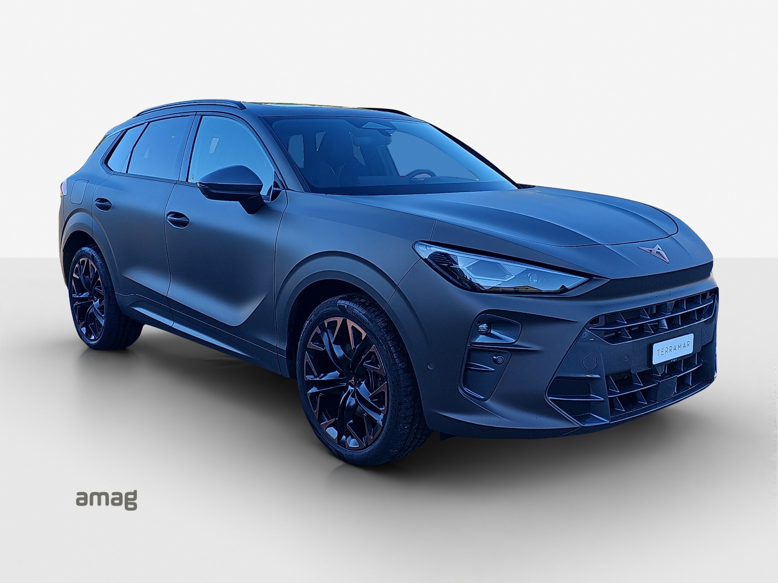 CUPRA Terramar 1.5 eHybrid DSG Black Symphony-image-5