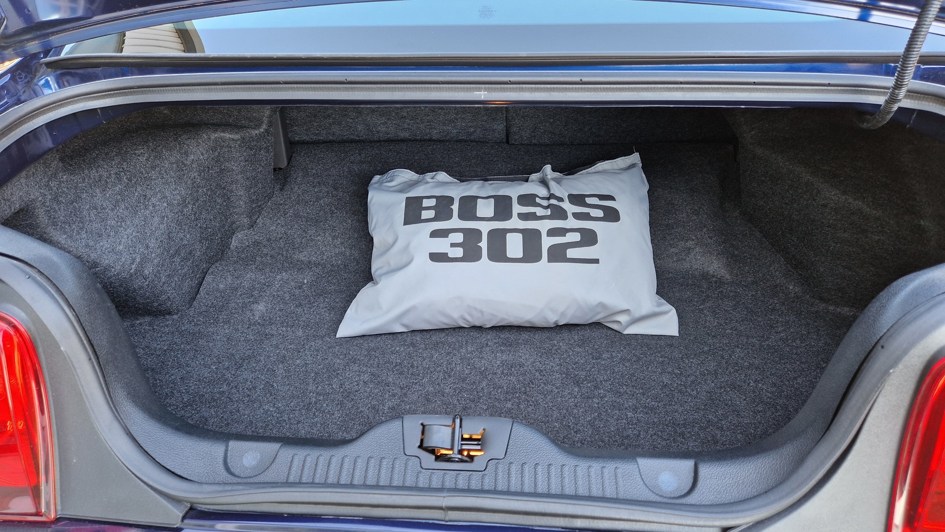 FORD Mustang Boss 302-image-12