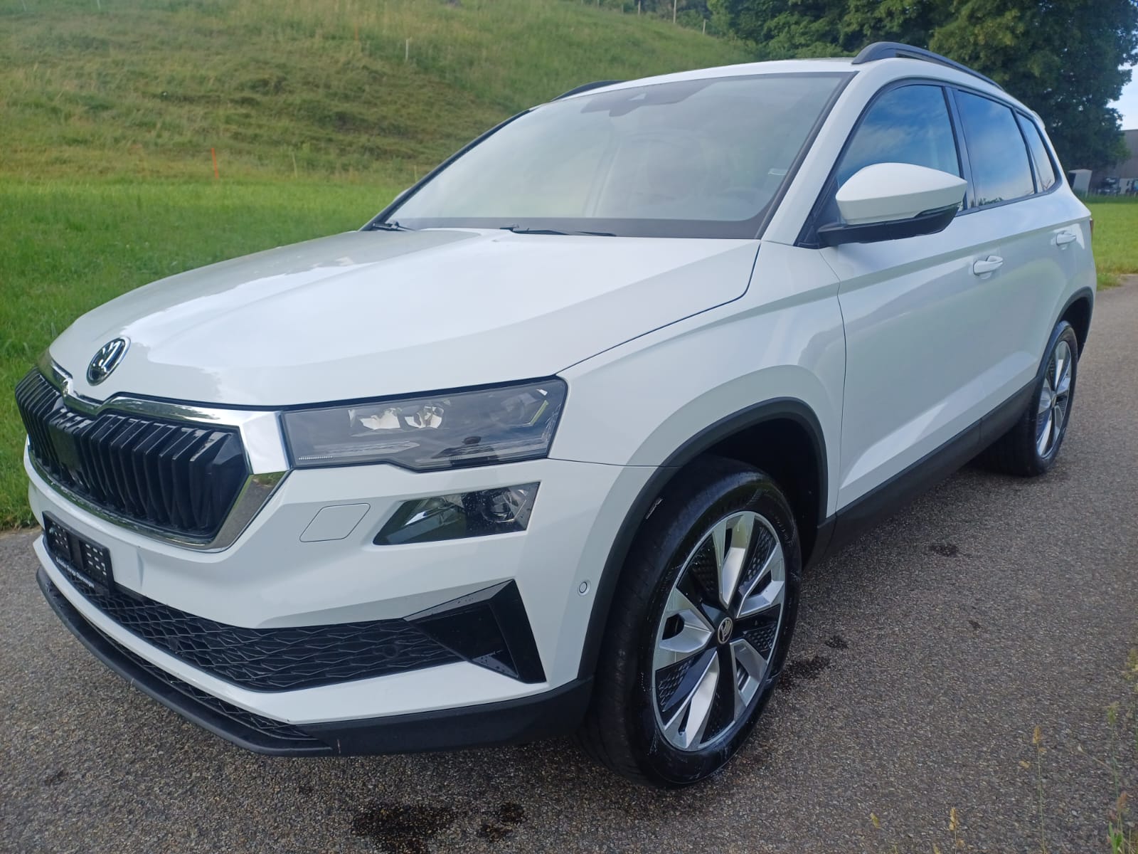 SKODA Karoq 2.0 TDI CR Style 4x4 DSG-image-1